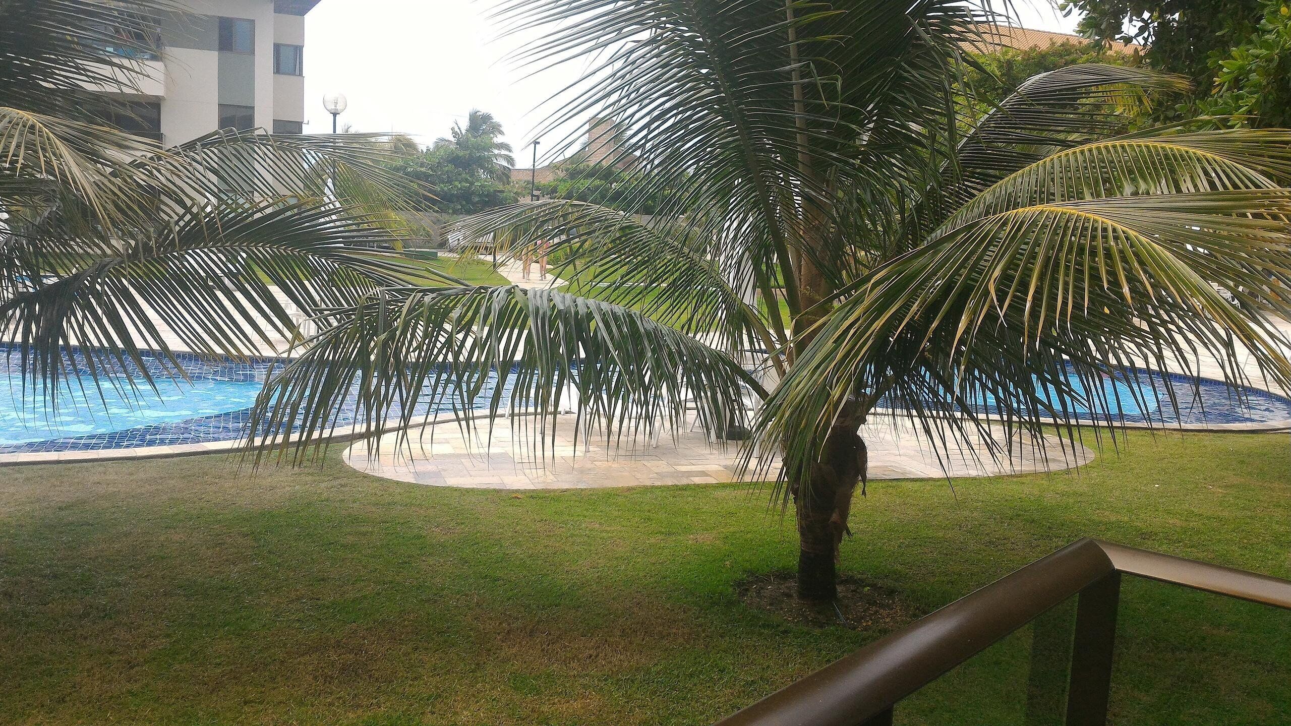 家庭公寓, 多张床, 泳池景观