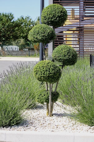 Exterior. B&B HOTEL VALENCE TGV-Romans