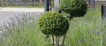 B&B HOTEL VALENCE TGV-Romans