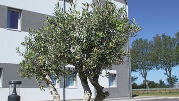 A modern building with a tree in front.