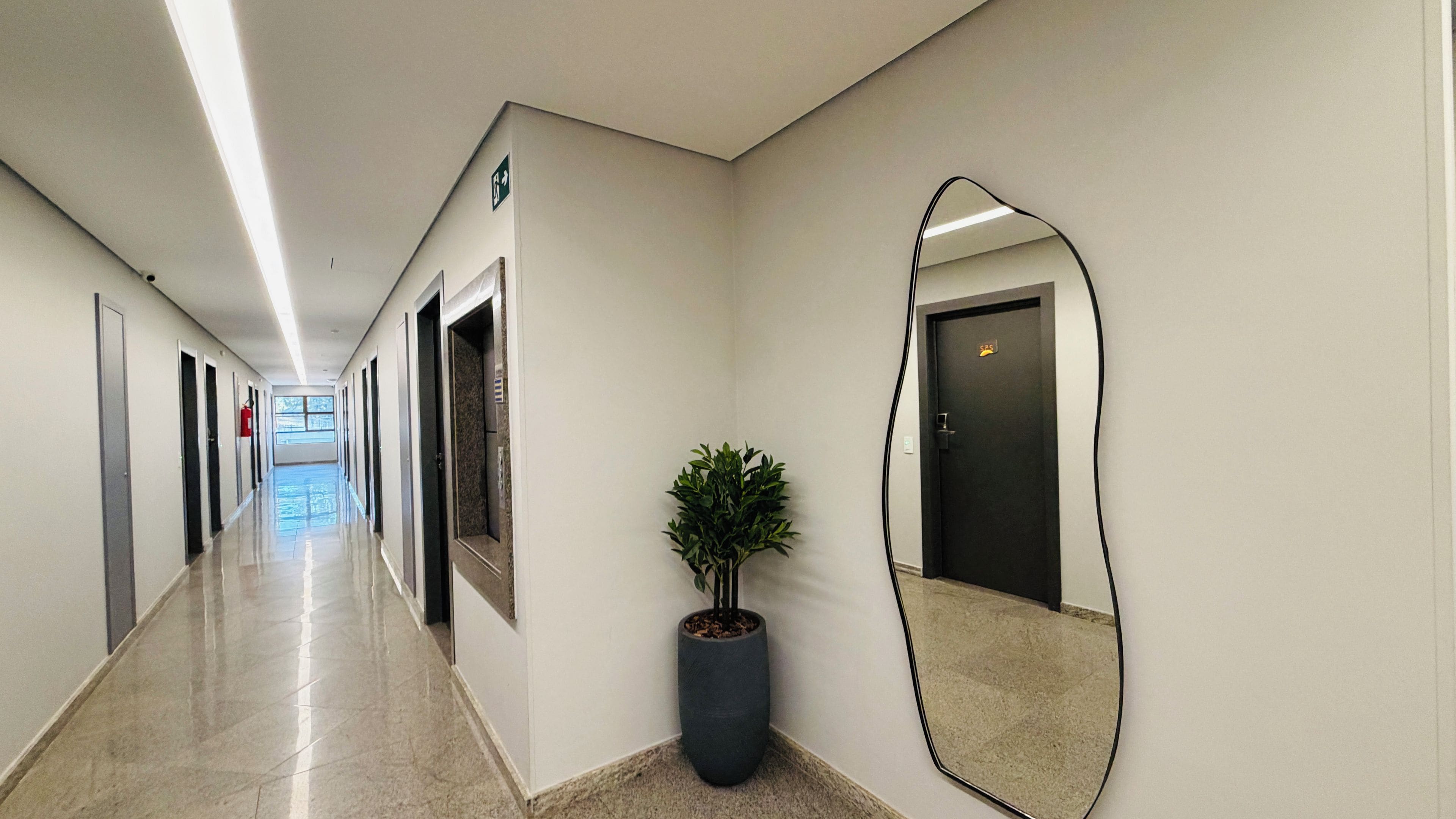 A corridor with doors, a potted plant, and a large mirror on the wall.