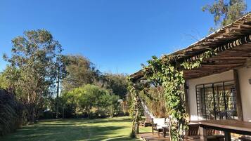 A wooden house with a covered porch, a grassy yard, and a hammock.