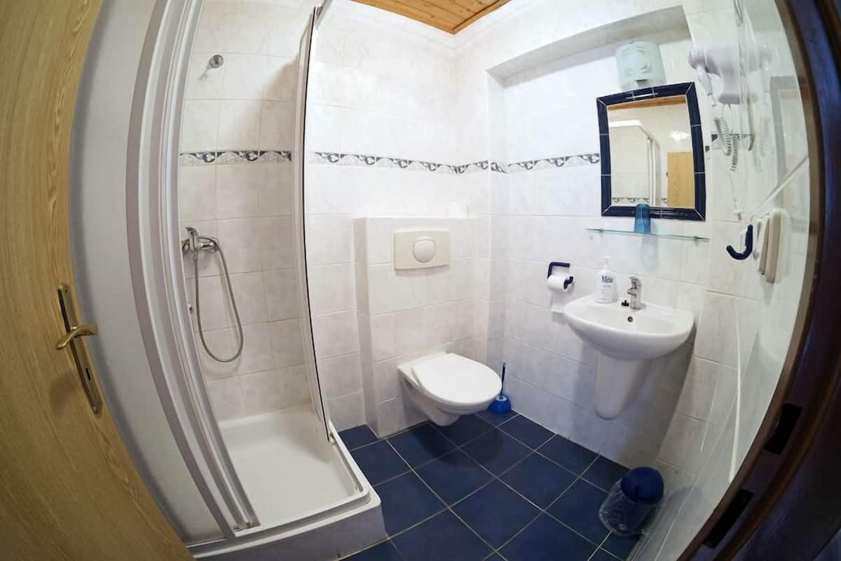 shower, free toiletries, hair dryer, towels