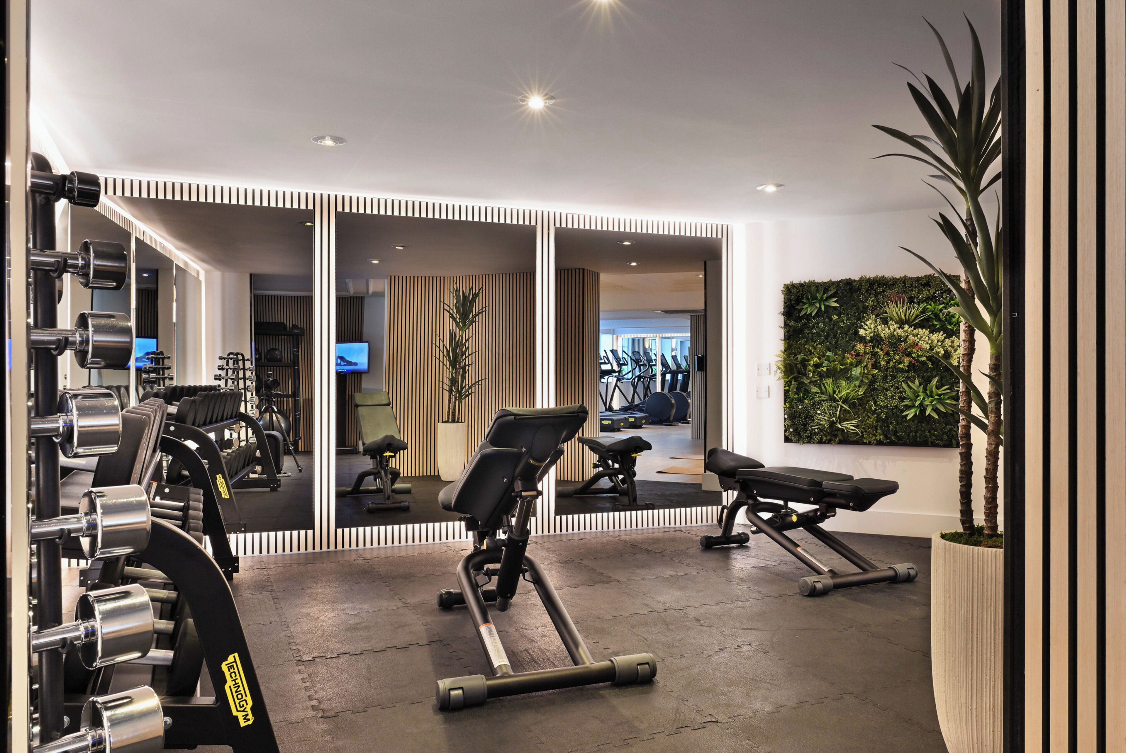 A modern gym with exercise equipment, a large mirror, and a green wall with plants.