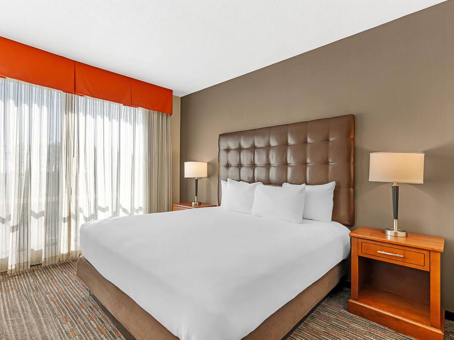 Habitación de hotel con una cama grande, dos mesitas de noche con lámparas, un ventanal con cortinas y suelo cubierto de alfombra.