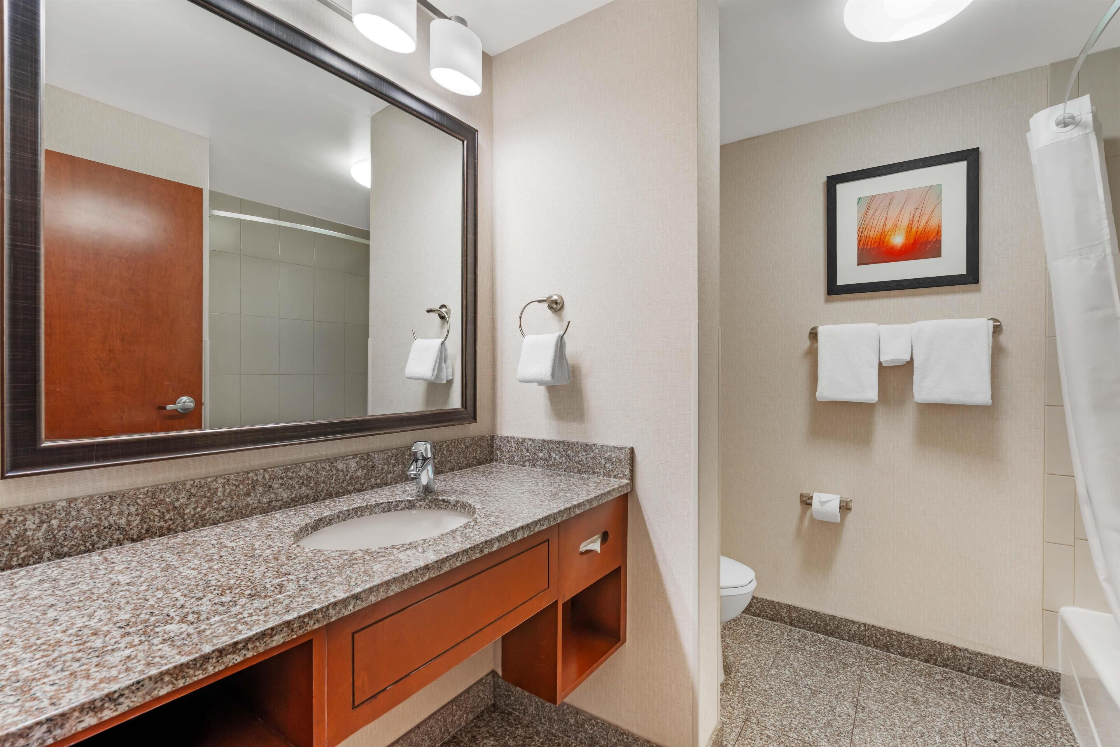 A bathroom with a granite countertop sink, a mirror, a framed picture on the wall, a toilet, and a shower curtain.