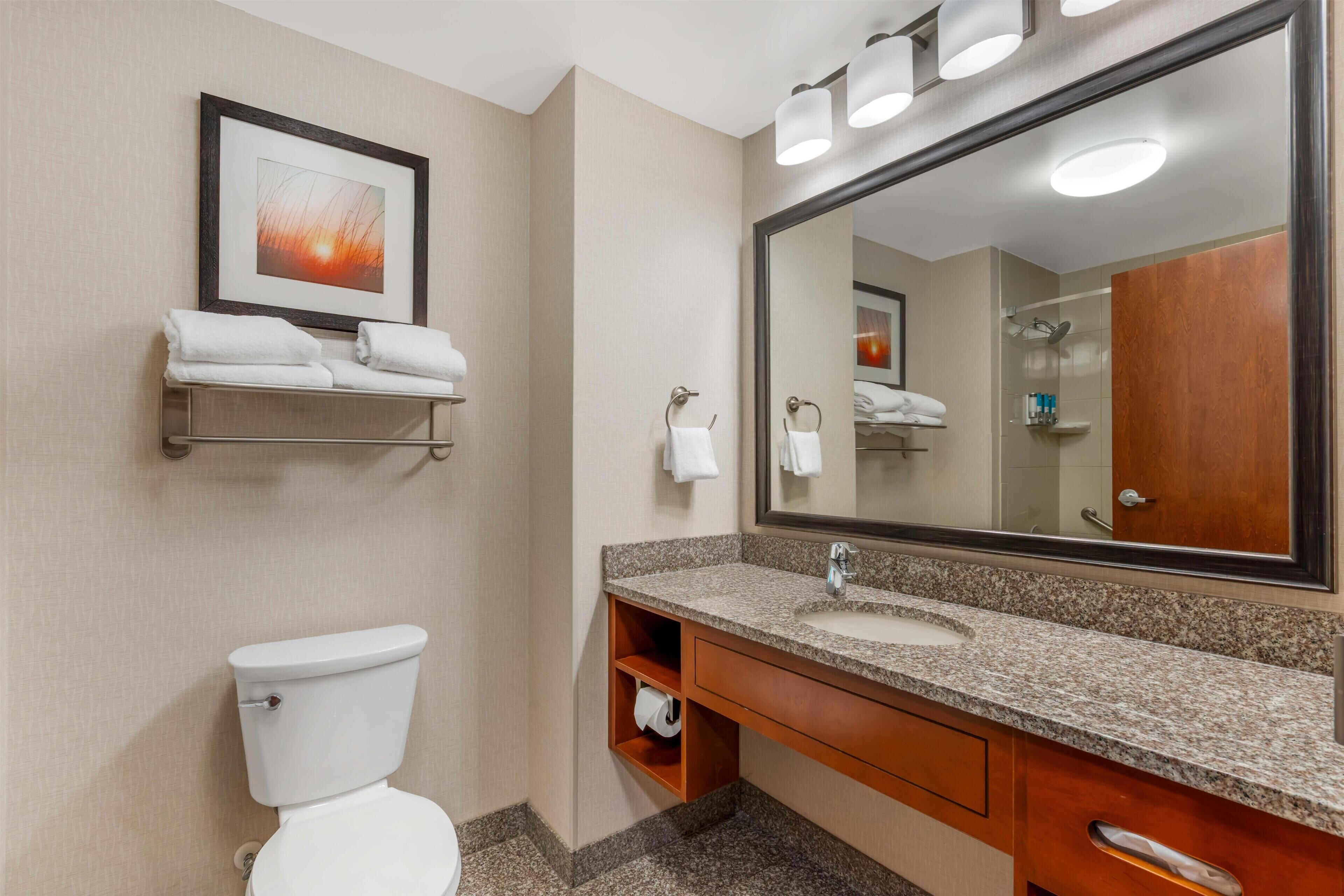 A hotel bathroom with a toilet, sink, vanity, and a large mirror.