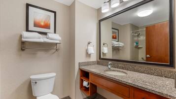 A hotel bathroom with a toilet, sink, vanity, and a large mirror.