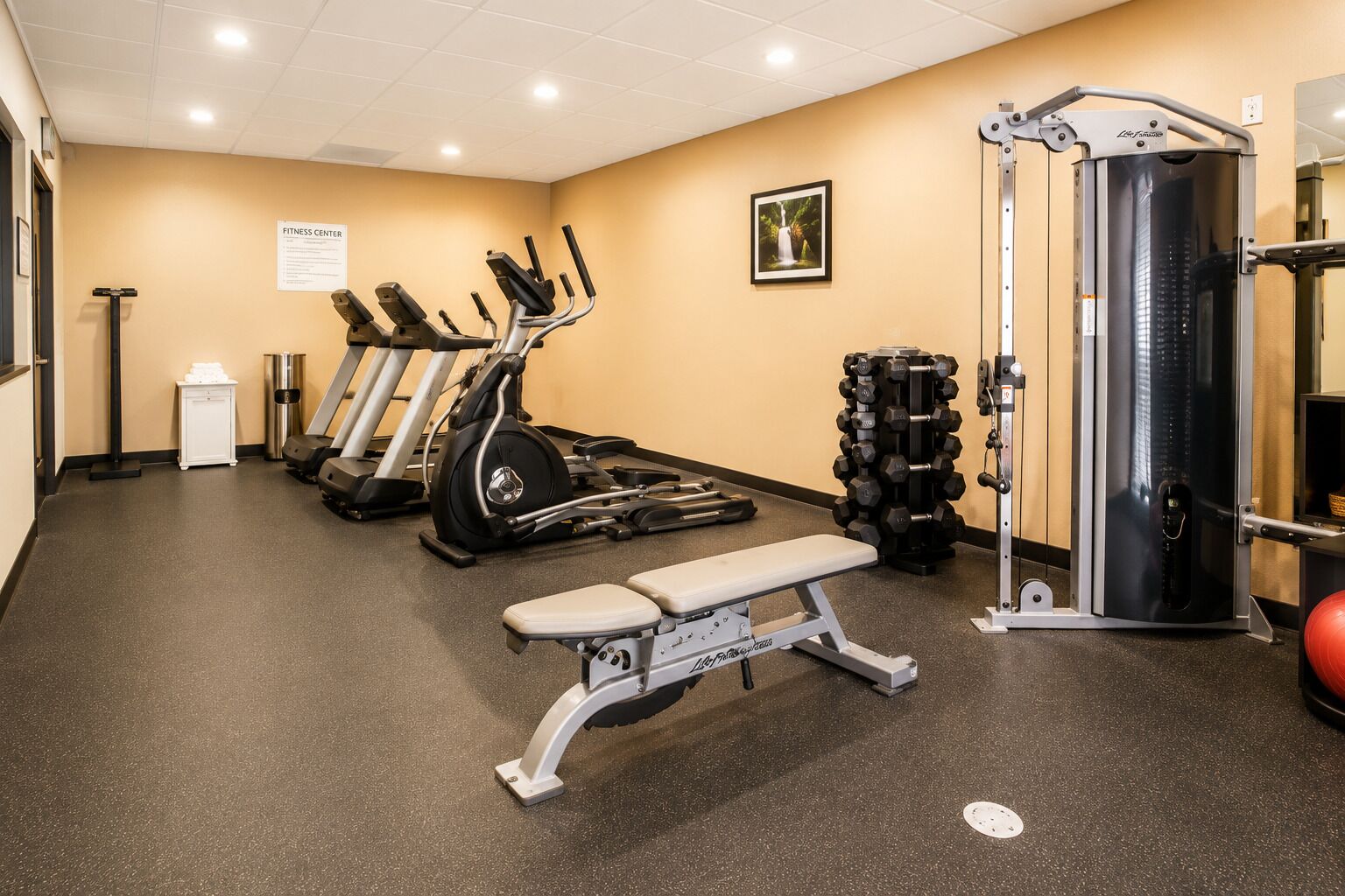 Photo - Sleep Inn & Suites near Westchase