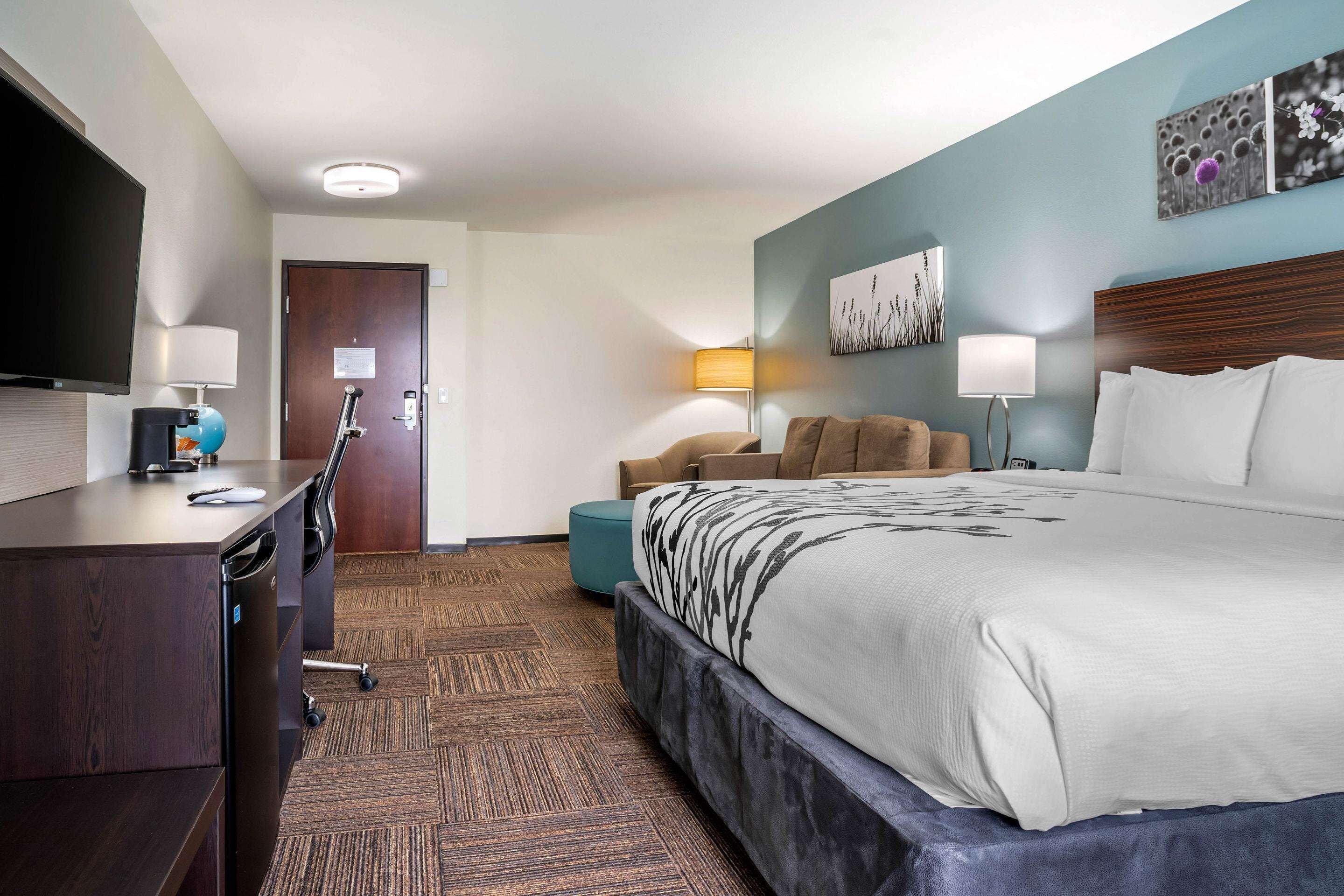 suite, 1 king bed, accessible, non smoking | egyptian cotton sheets, premium bedding, pillow-top beds, in-room safe