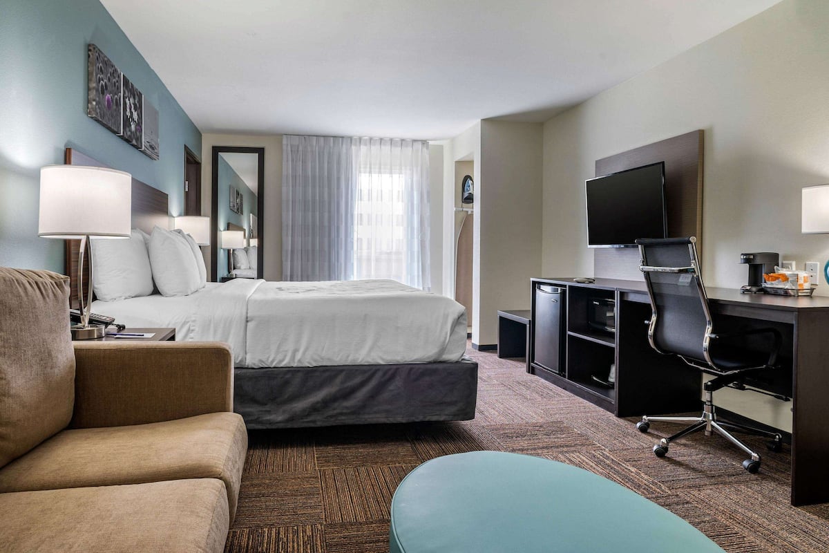A hotel room with a bed, a desk, a chair, a TV, and a lamp.