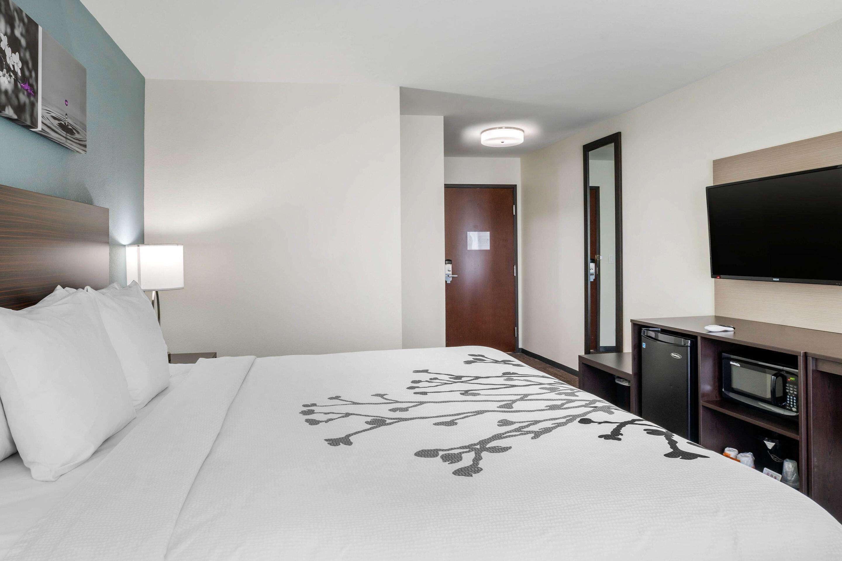 standard room, 1 king bed, non smoking, bathtub | egyptian cotton sheets, premium bedding, pillow-top beds, in-room safe