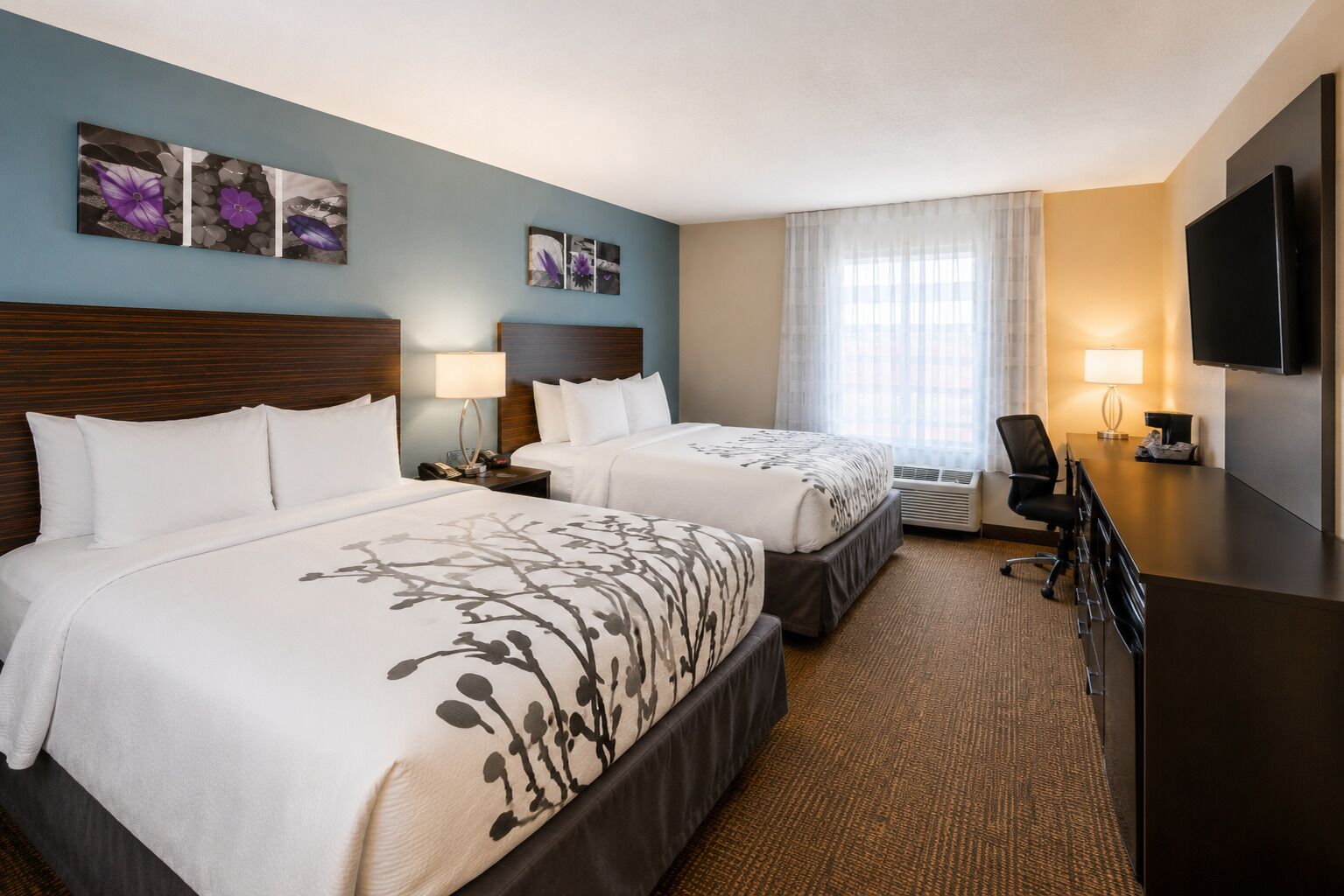 Photo - Sleep Inn & Suites near Westchase