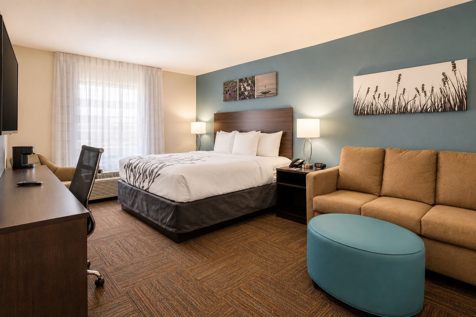 Photo - Sleep Inn & Suites near Westchase