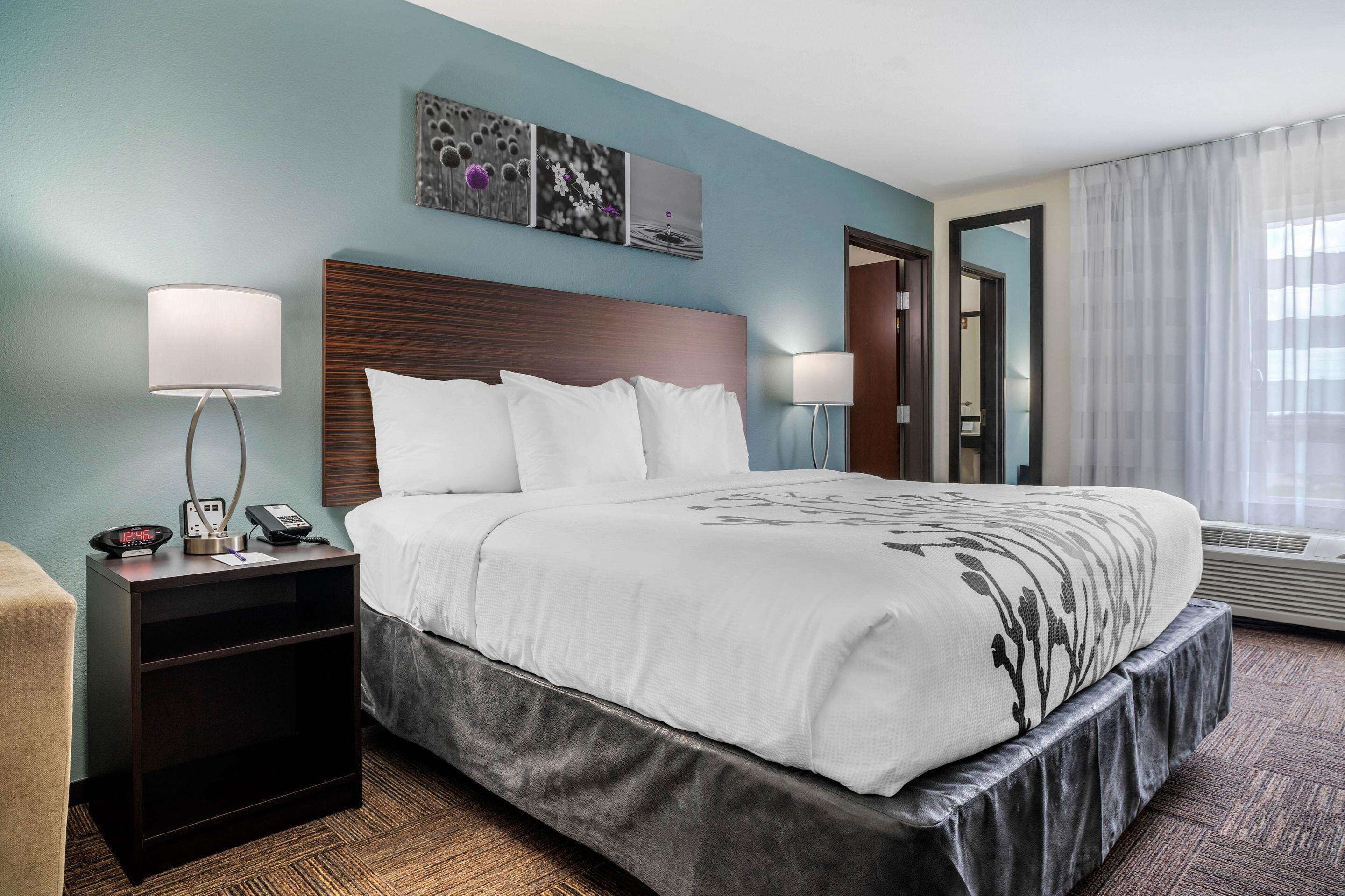 suite, 1 king bed, accessible, non smoking | egyptian cotton sheets, premium bedding, pillow-top beds, in-room safe