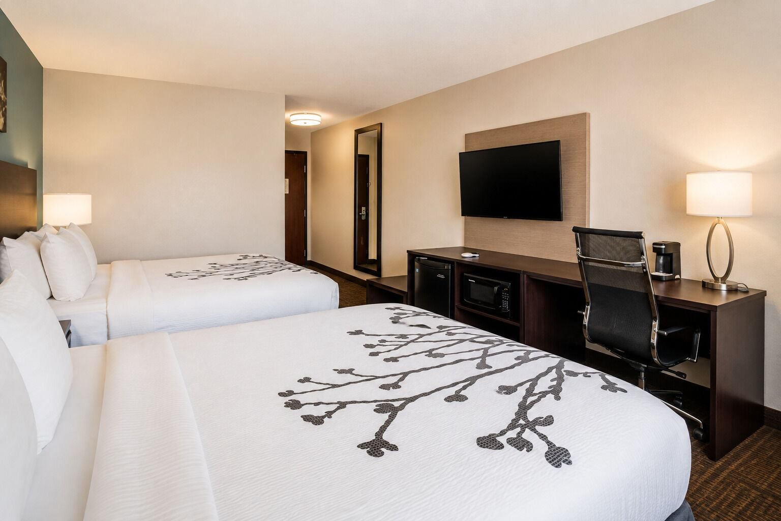 Photo - Sleep Inn & Suites near Westchase
