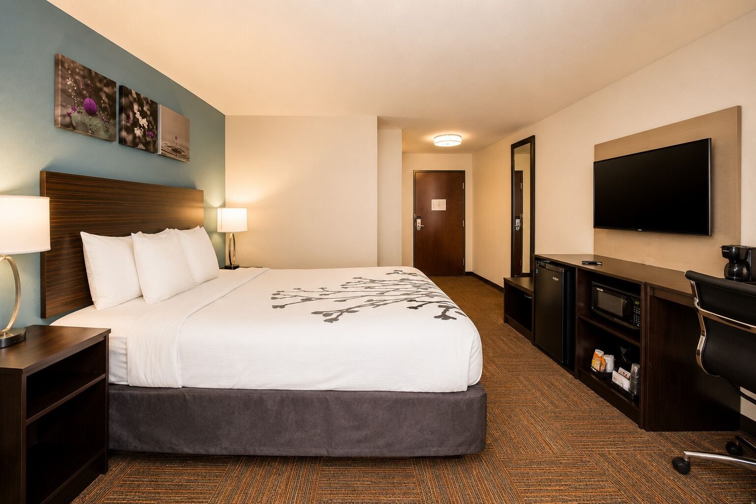Photo - Sleep Inn & Suites near Westchase