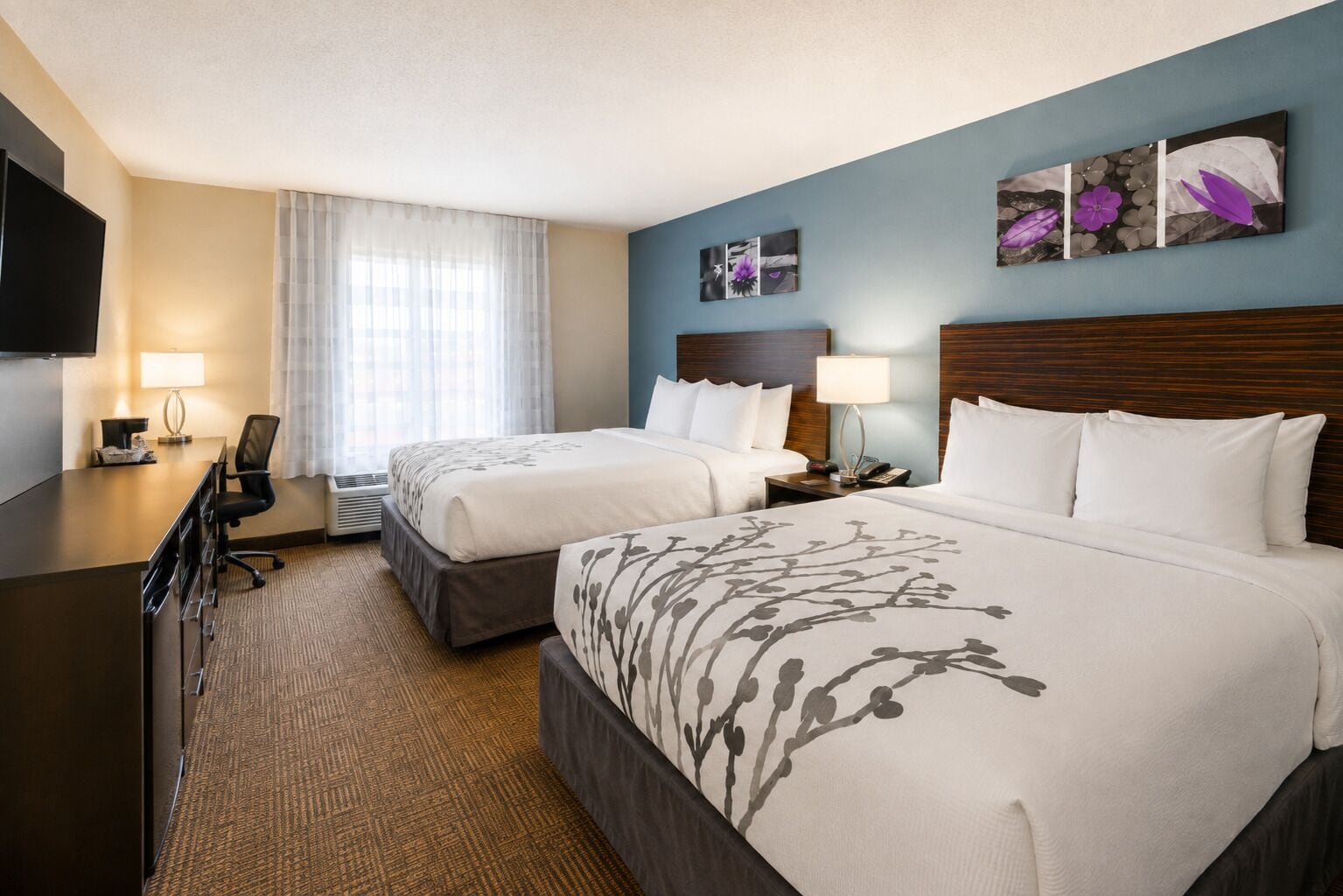 Photo - Sleep Inn & Suites near Westchase