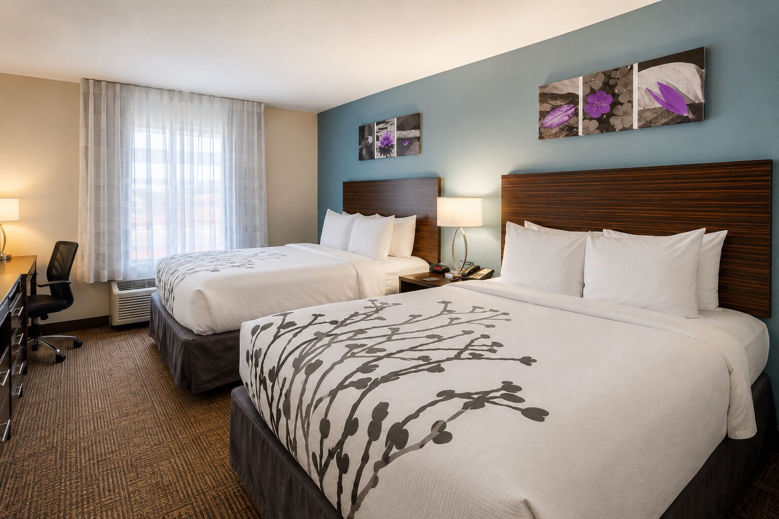 Photo - Sleep Inn & Suites near Westchase
