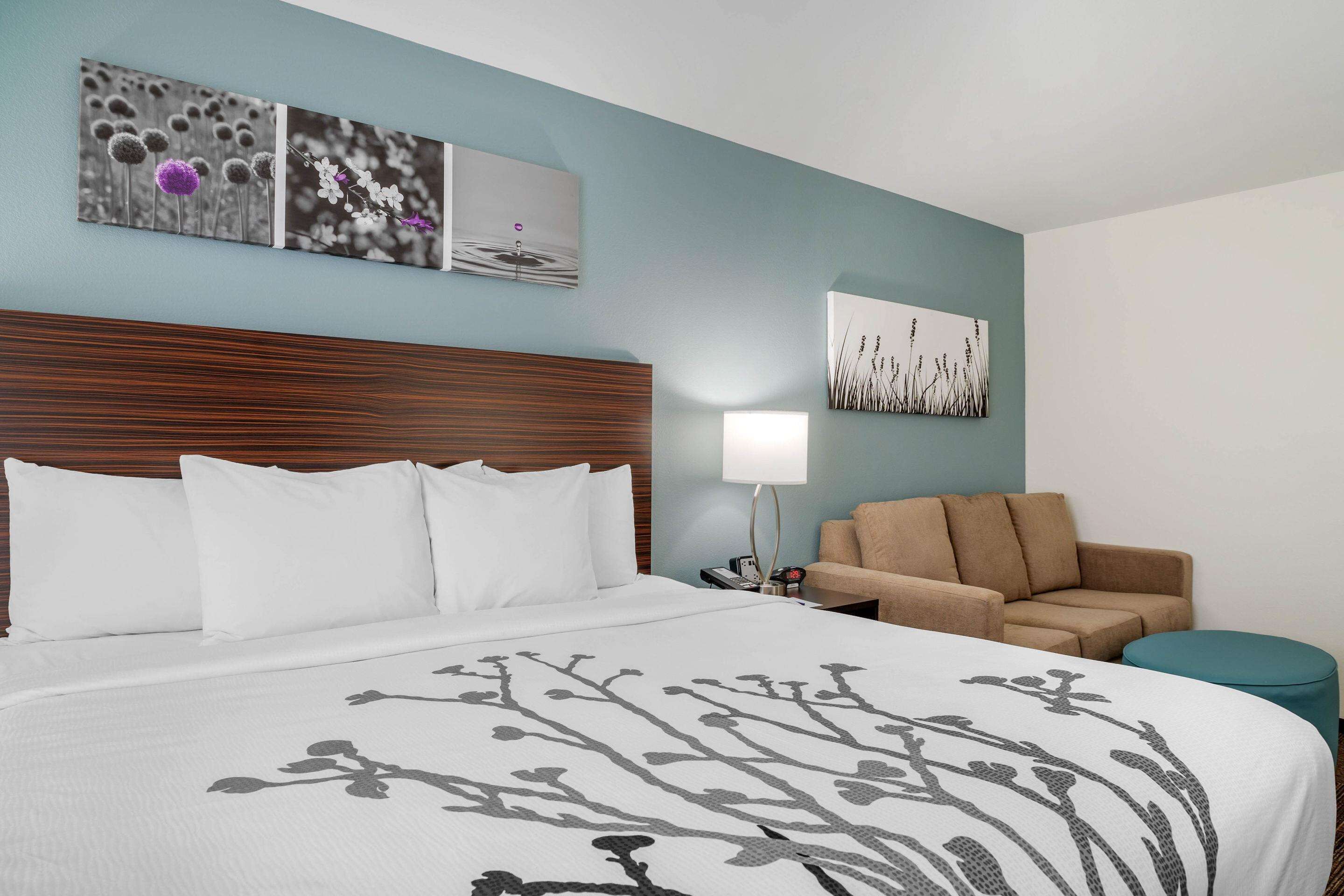 suite, 1 king bed, non smoking | egyptian cotton sheets, premium bedding, pillow-top beds, in-room safe