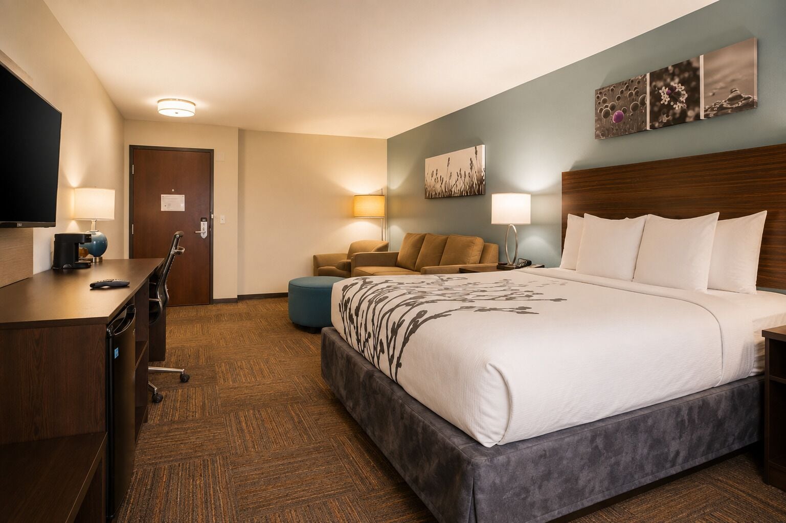 Photo - Sleep Inn & Suites near Westchase