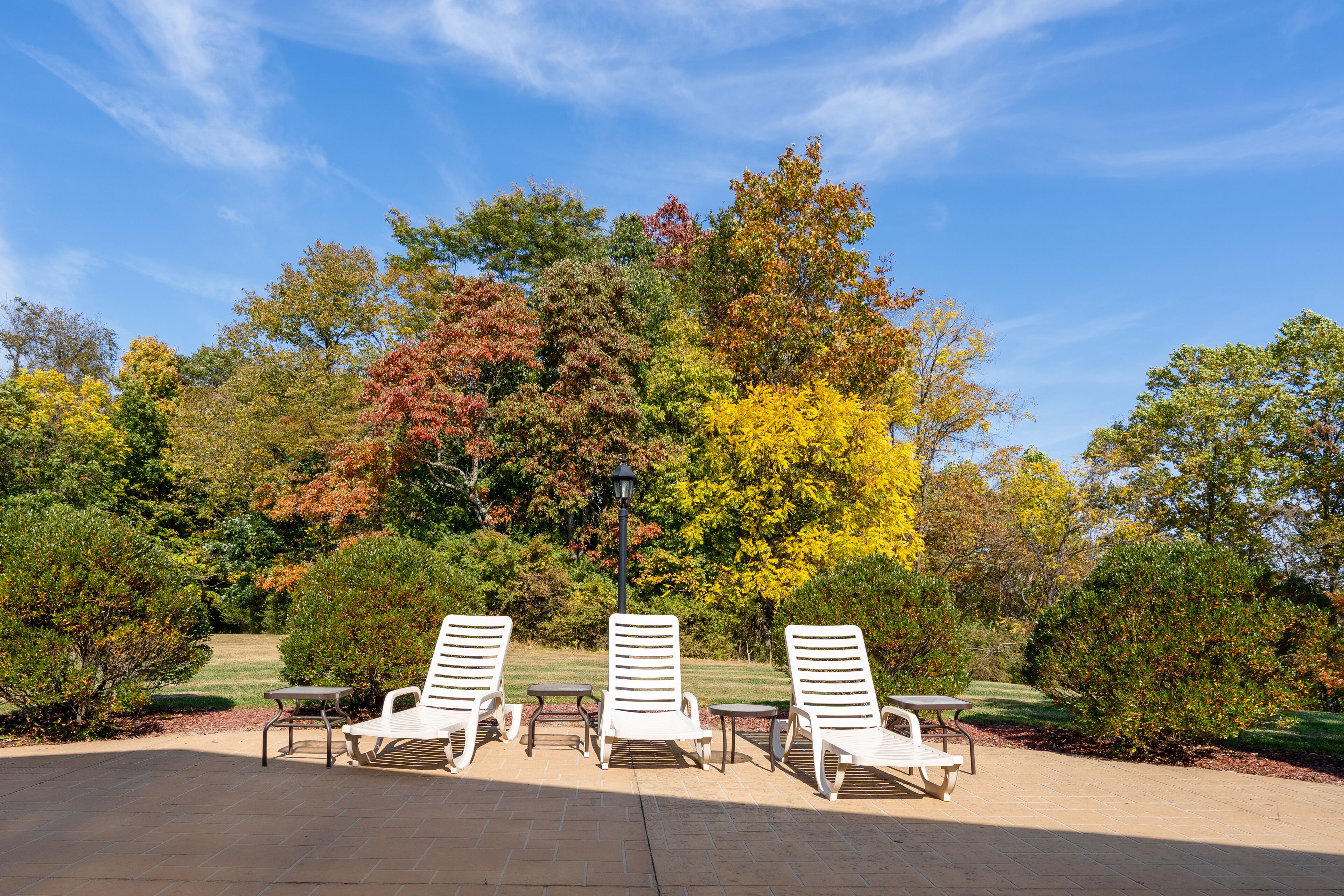 A patio area with white lounge chairs and tables, surrounded by autumn-colored trees and a clear blue sky.