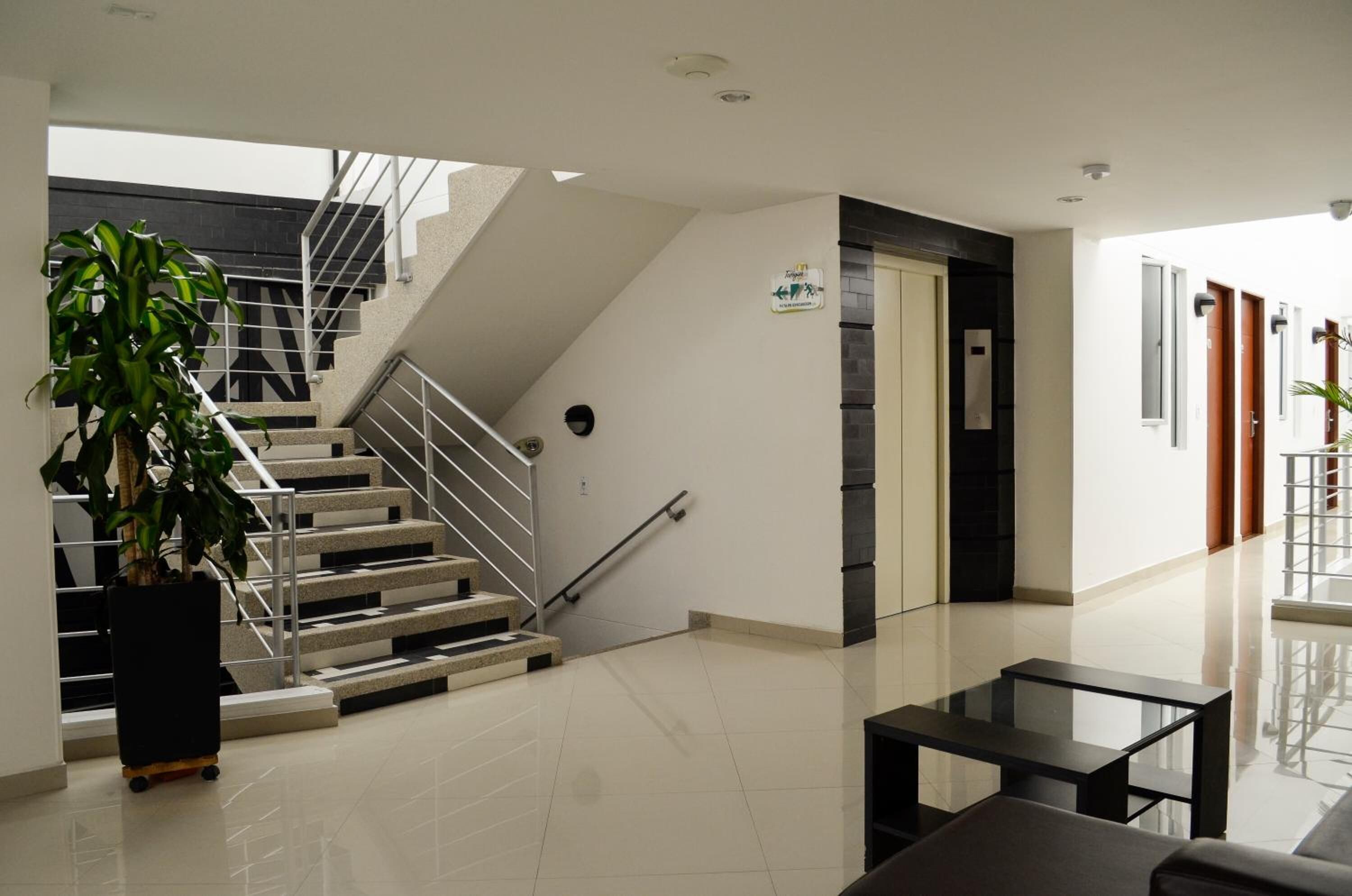 A modern lobby with a staircase, a potted plant, and a glass table.