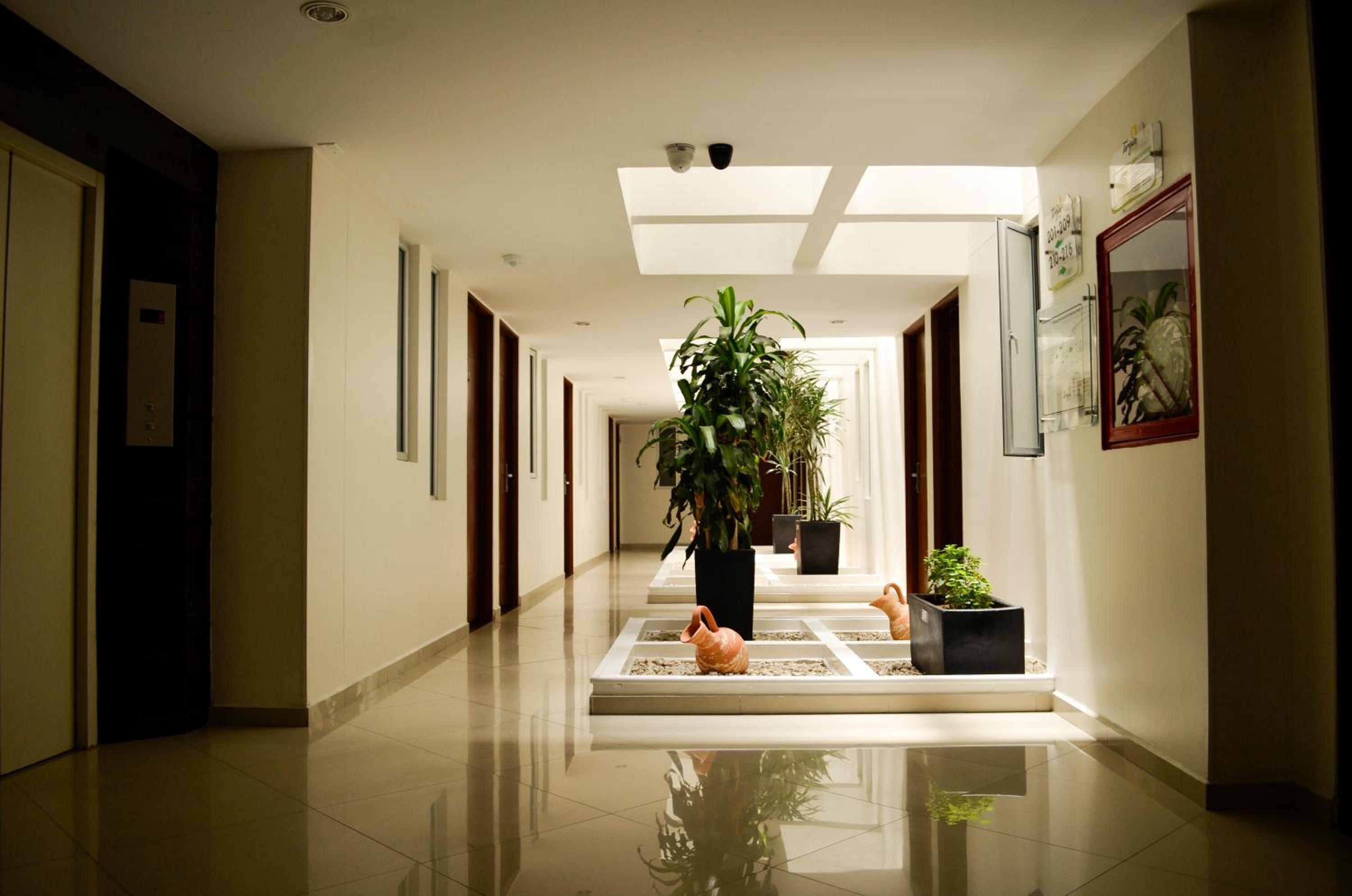 A hotel corridor with a central plant, potted plants, and framed pictures on the walls.
