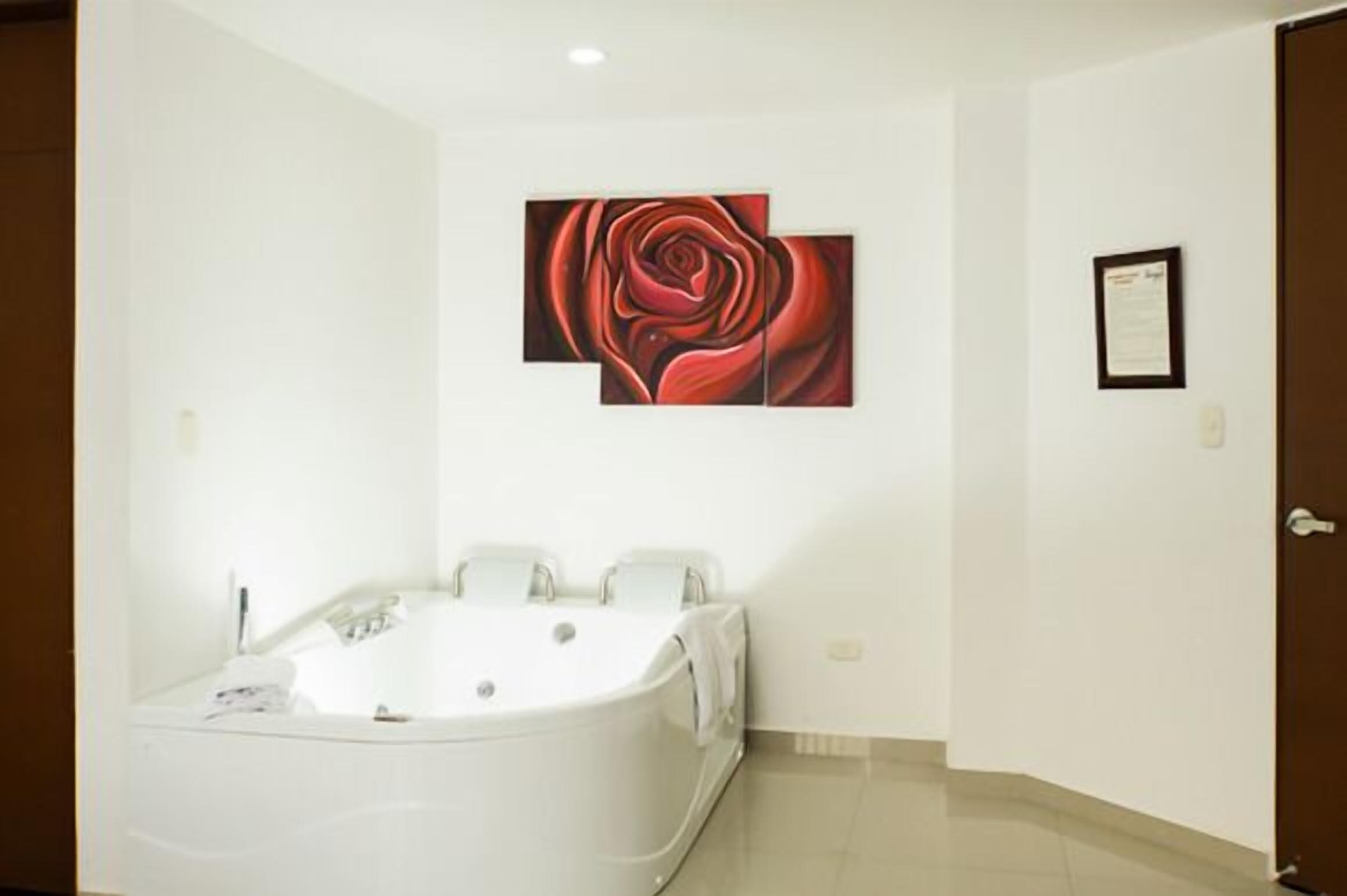 junior suite (air conditioner) | jetted bathtub