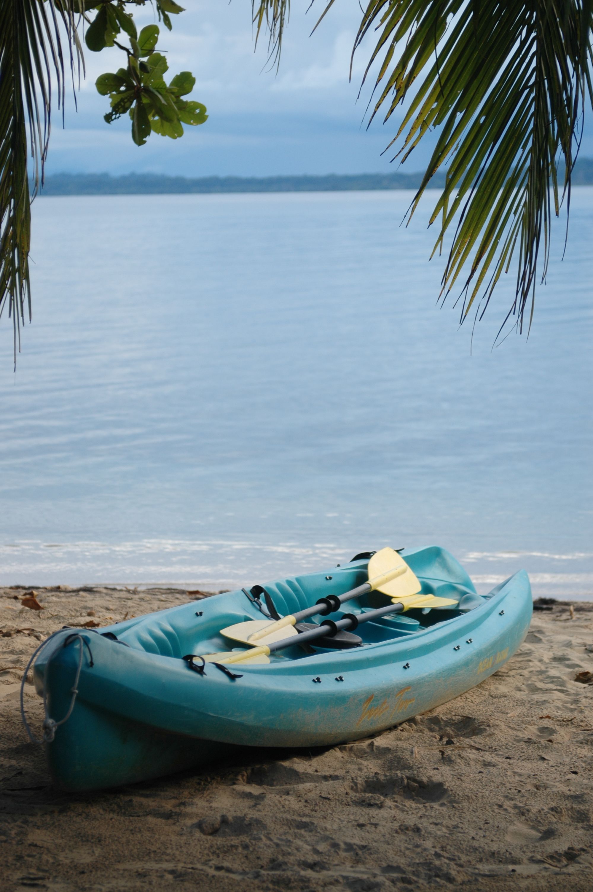 Un kayak azul con remos y chaleco salvavidas sobre una playa de arena, con un mar tranquilo y palmeras al fondo.