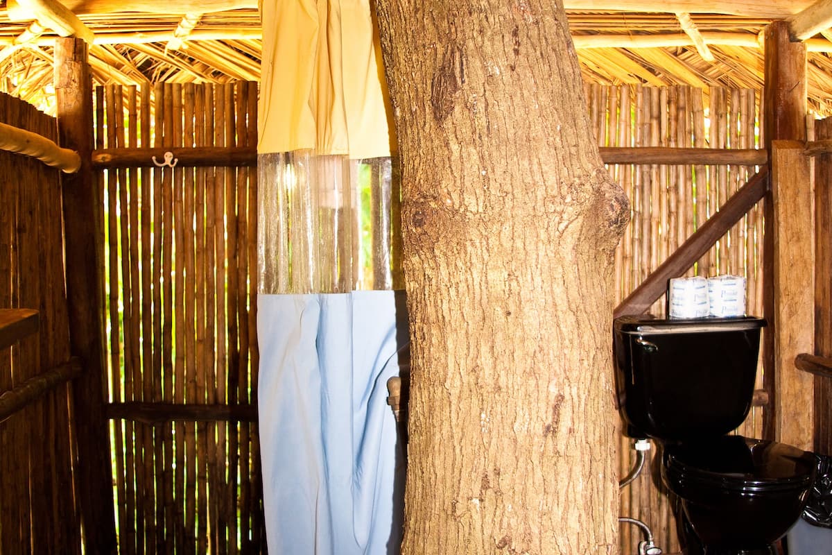 shower, free toiletries, towels