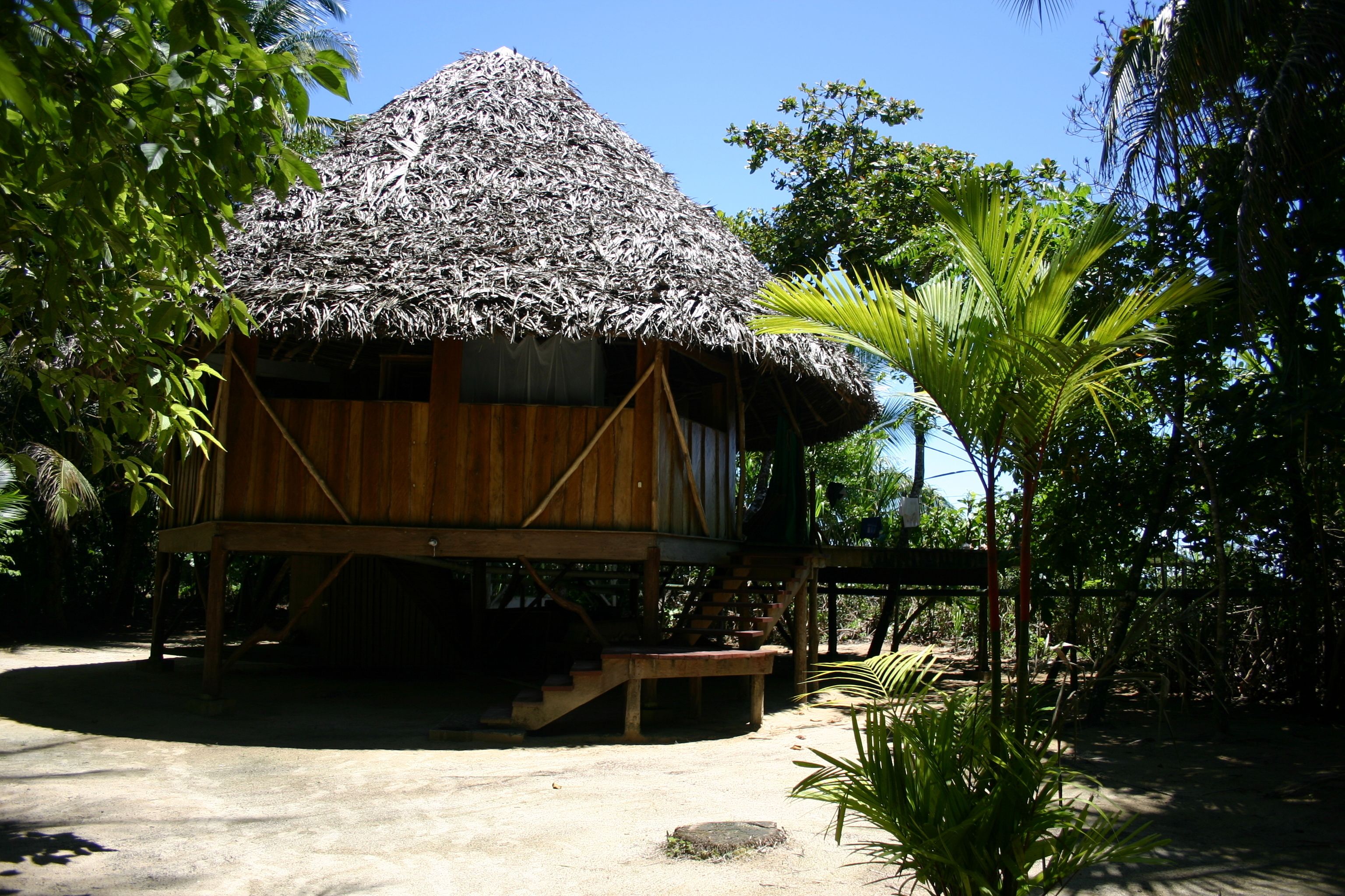 A wooden structure with a thatched roof, surrounded by tropical vegetation.