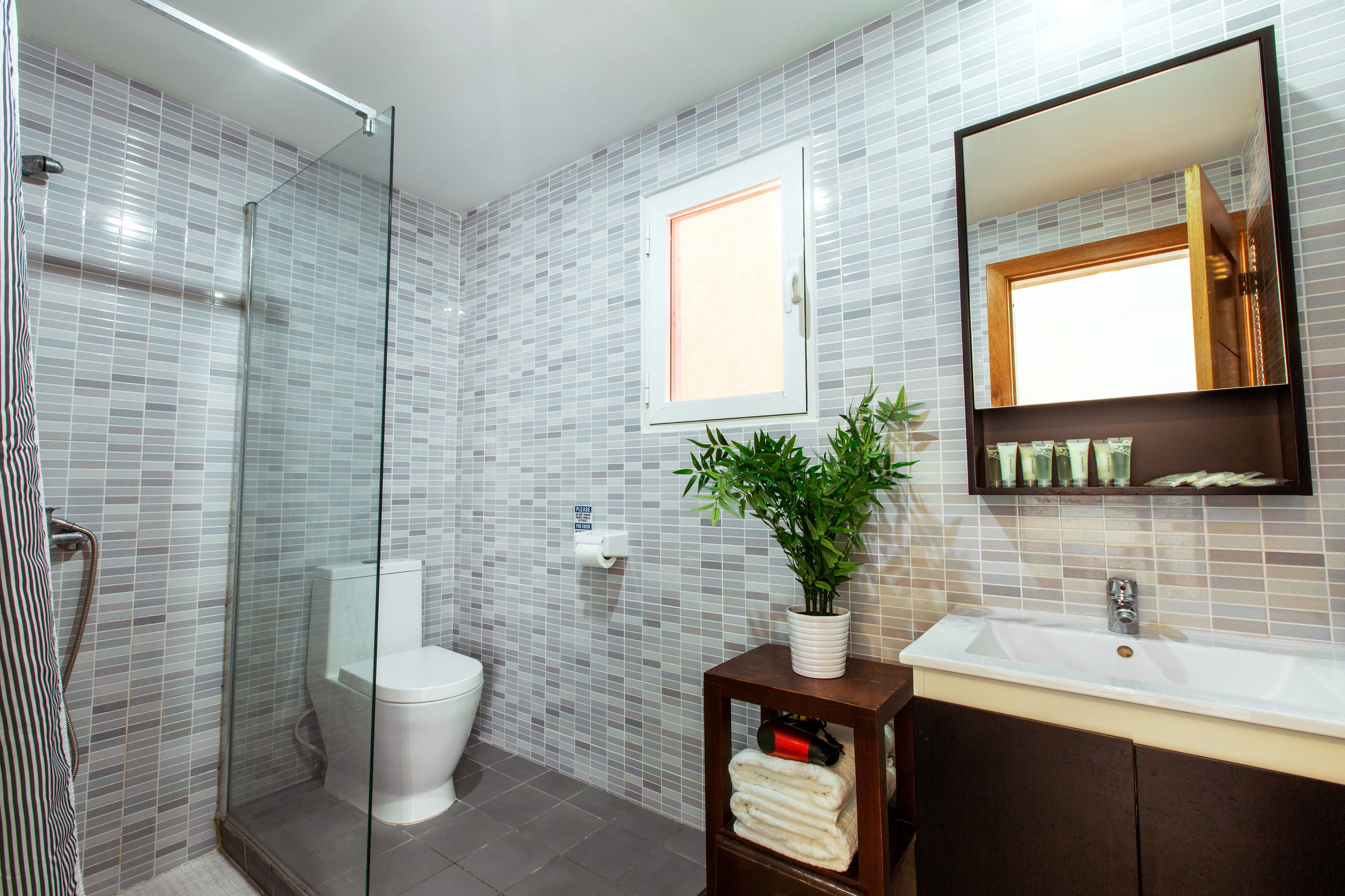 shower, free toiletries, hair dryer, towels