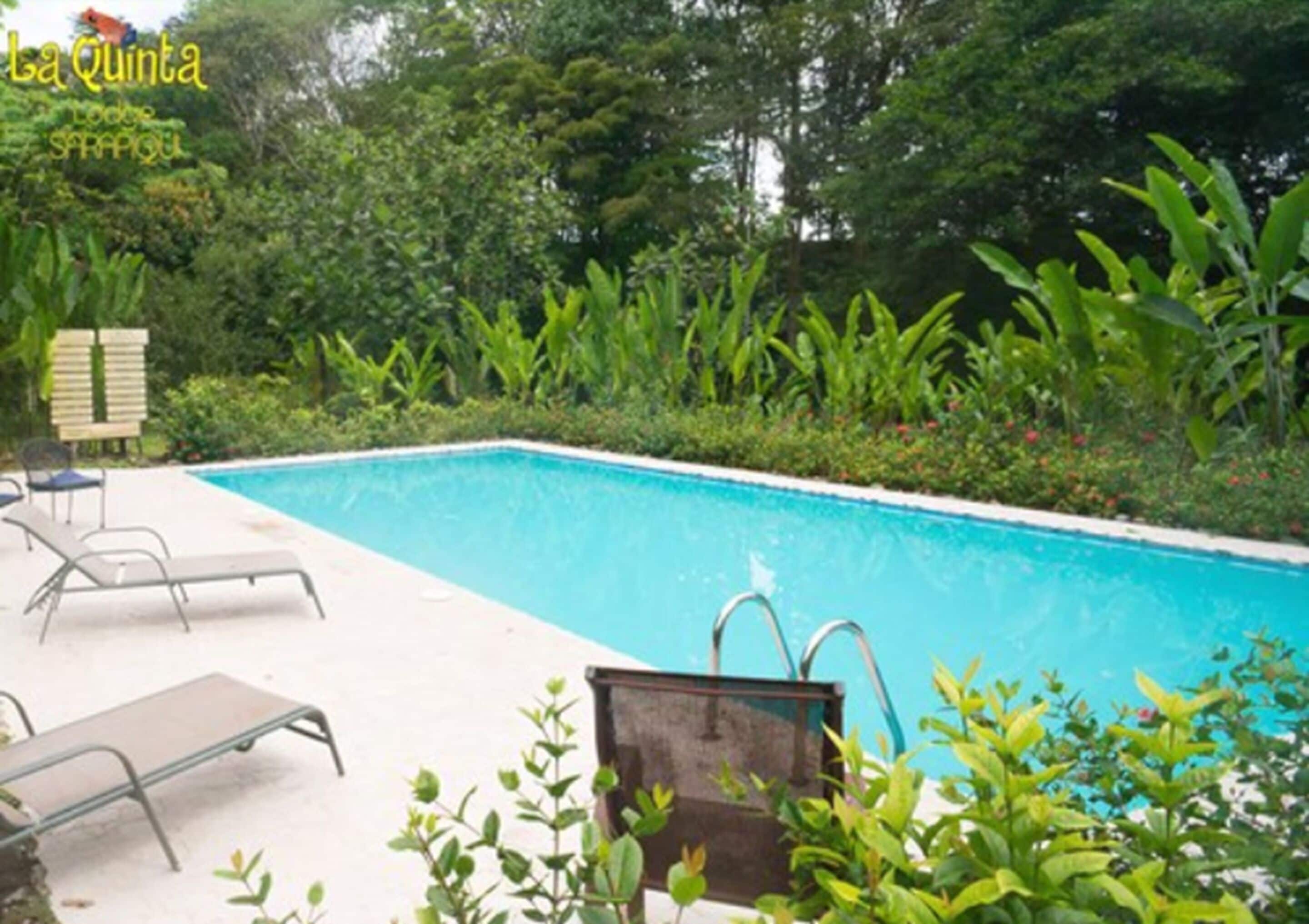 2 座室外游泳池，提供泳池遮陽傘和日光浴躺椅