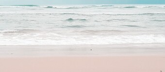 レッド スター ホテルズ パーム ビーチ