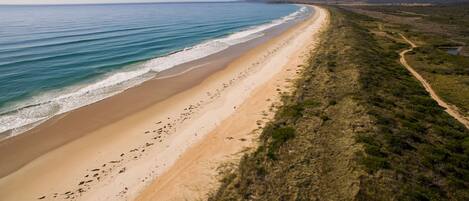 A coastal landscape with a sandy beach, a dirt path, and distant mountains.