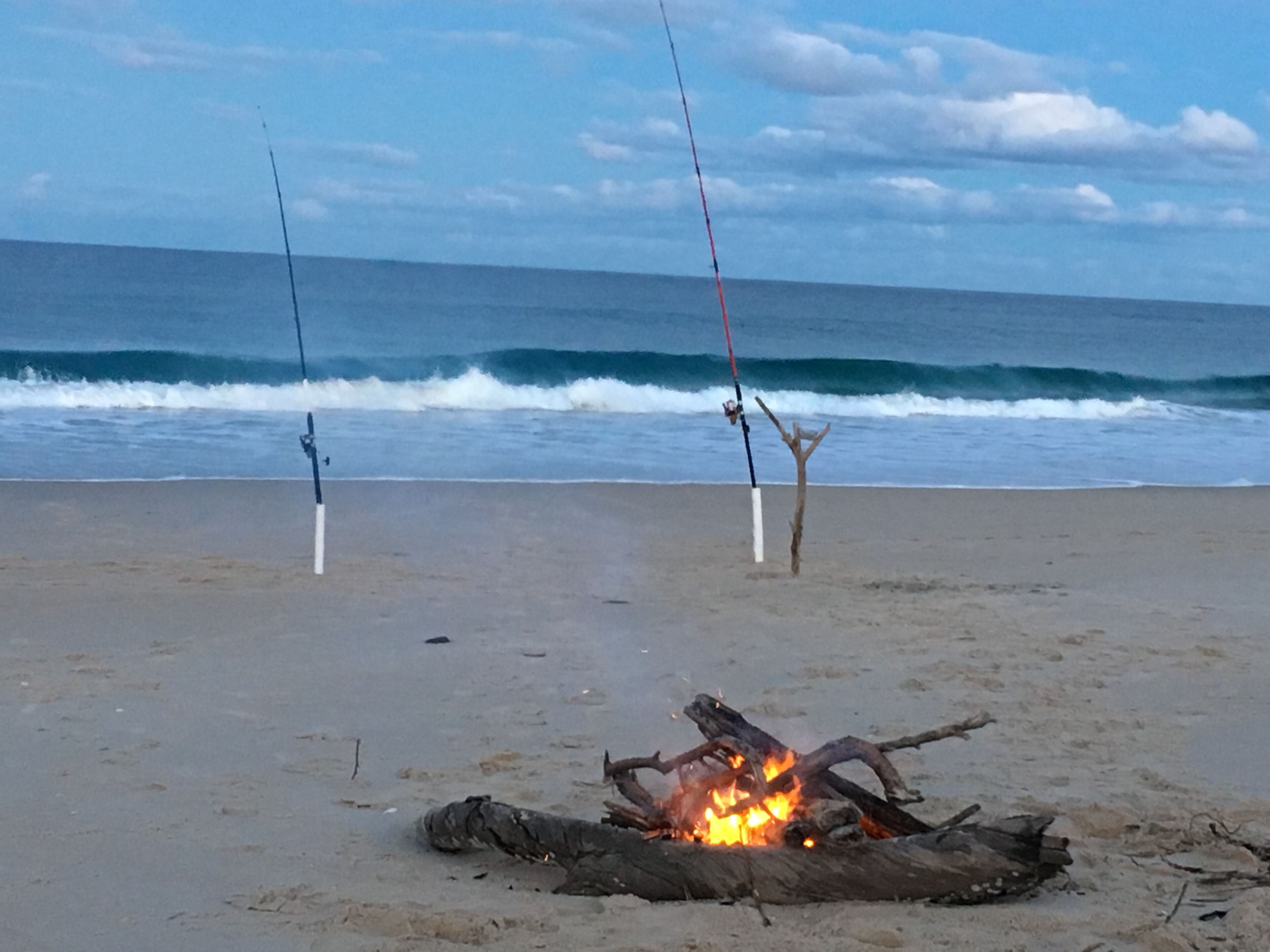 Scamander Sanctuary Holiday Park — image 28