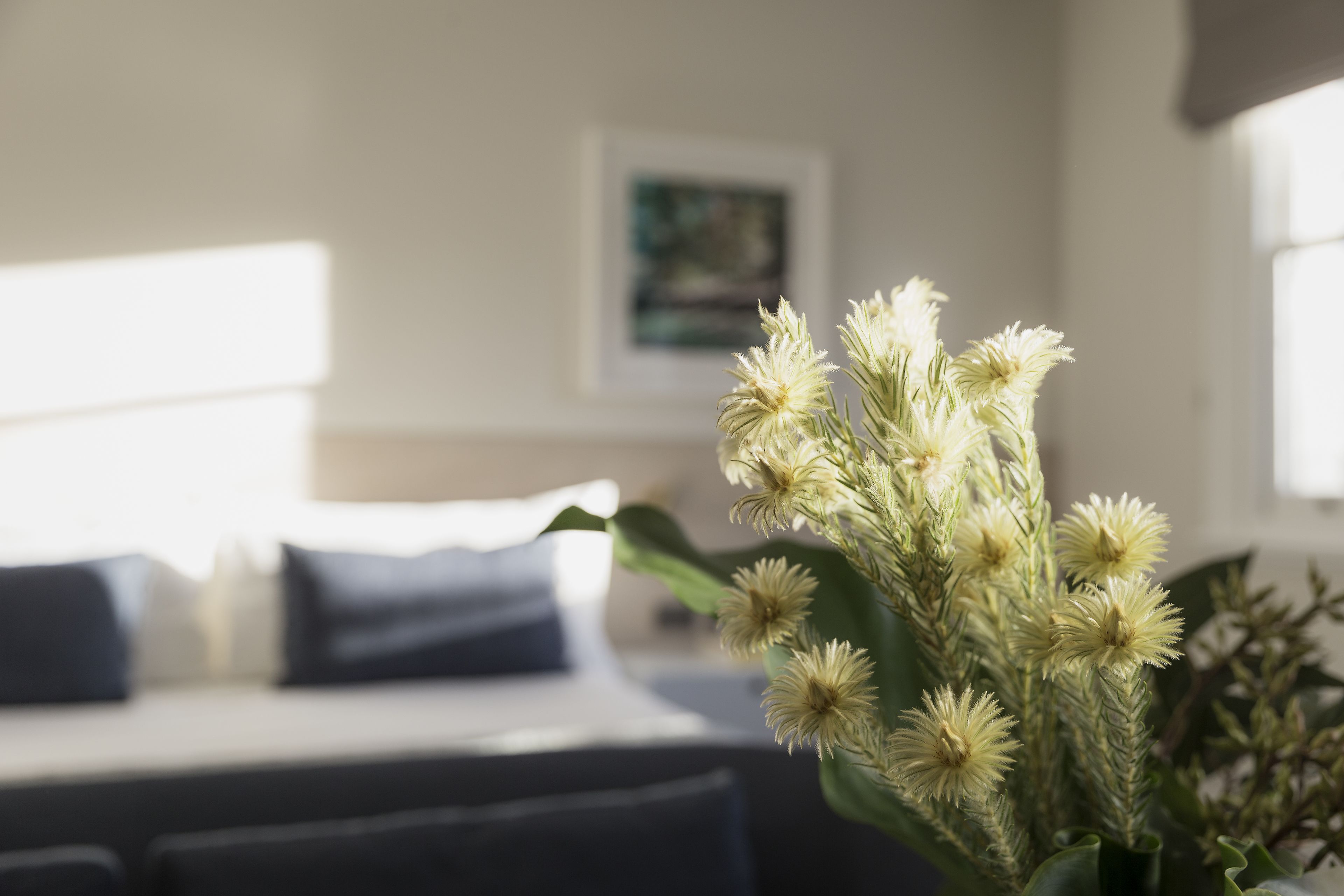 Uma cama com roupa de cama branca e almofadas escuras, um vaso com flores brancas e um quadro na parede.