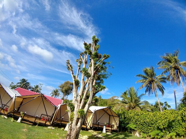 A campsite with tents and palm trees. - Saipan Glamping Village (Saipan)