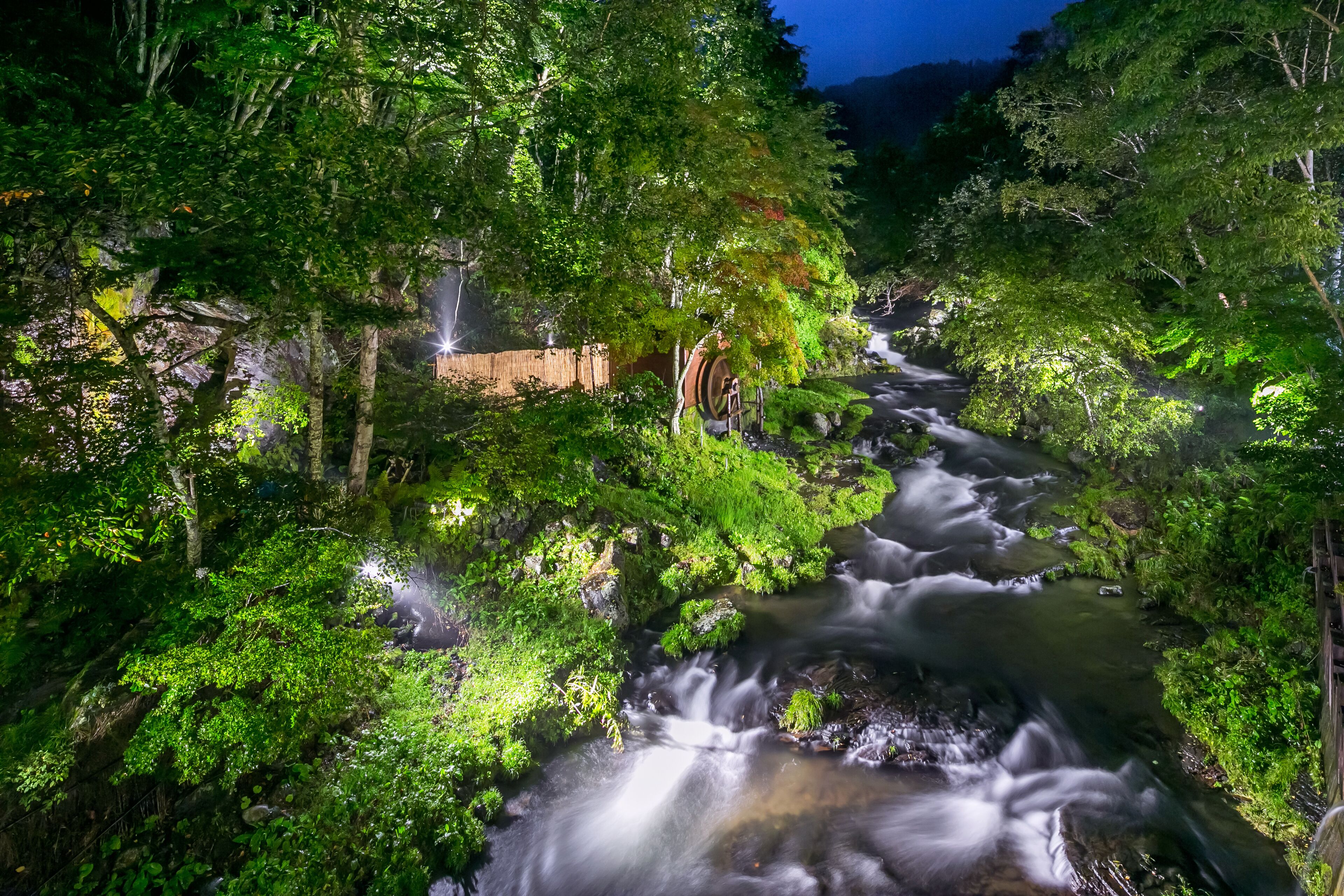 A serene forested area with a flowing stream, wooden bridge, and lush greenery.