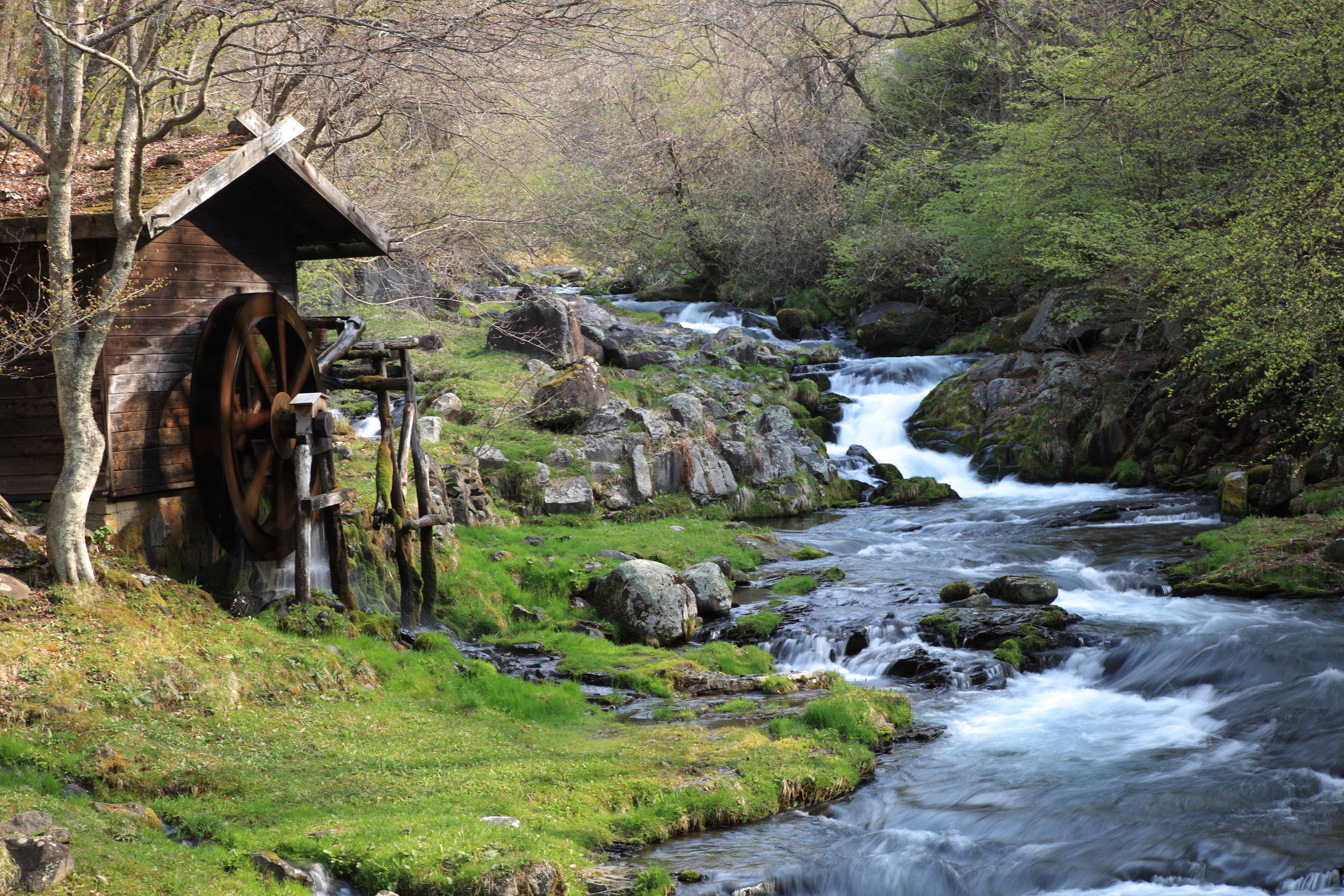 A rustic wooden mill by a flowing river, surrounded by lush greenery and rocks.