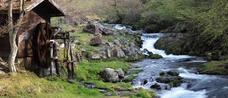 A rustic wooden mill by a flowing river, surrounded by lush greenery and rocks.
