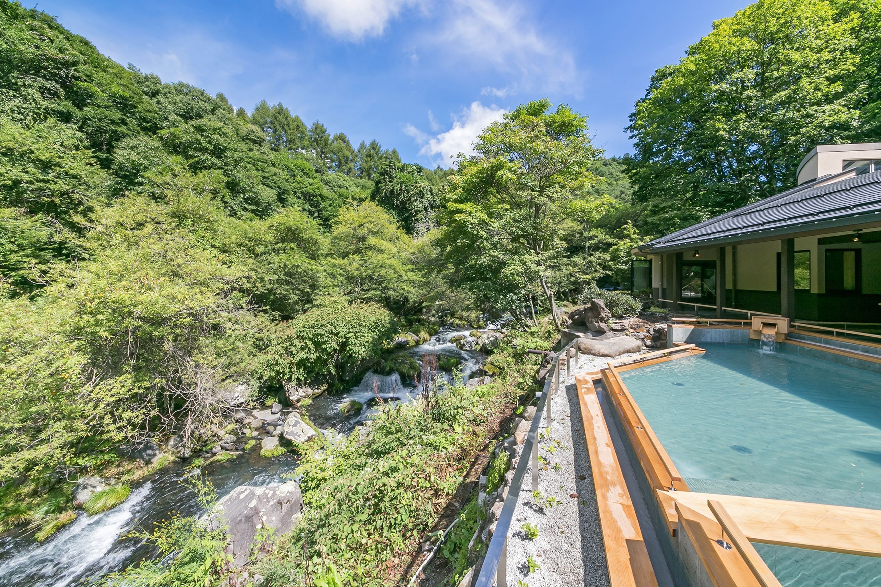 A pool adjacent to a forested area with a waterfall.