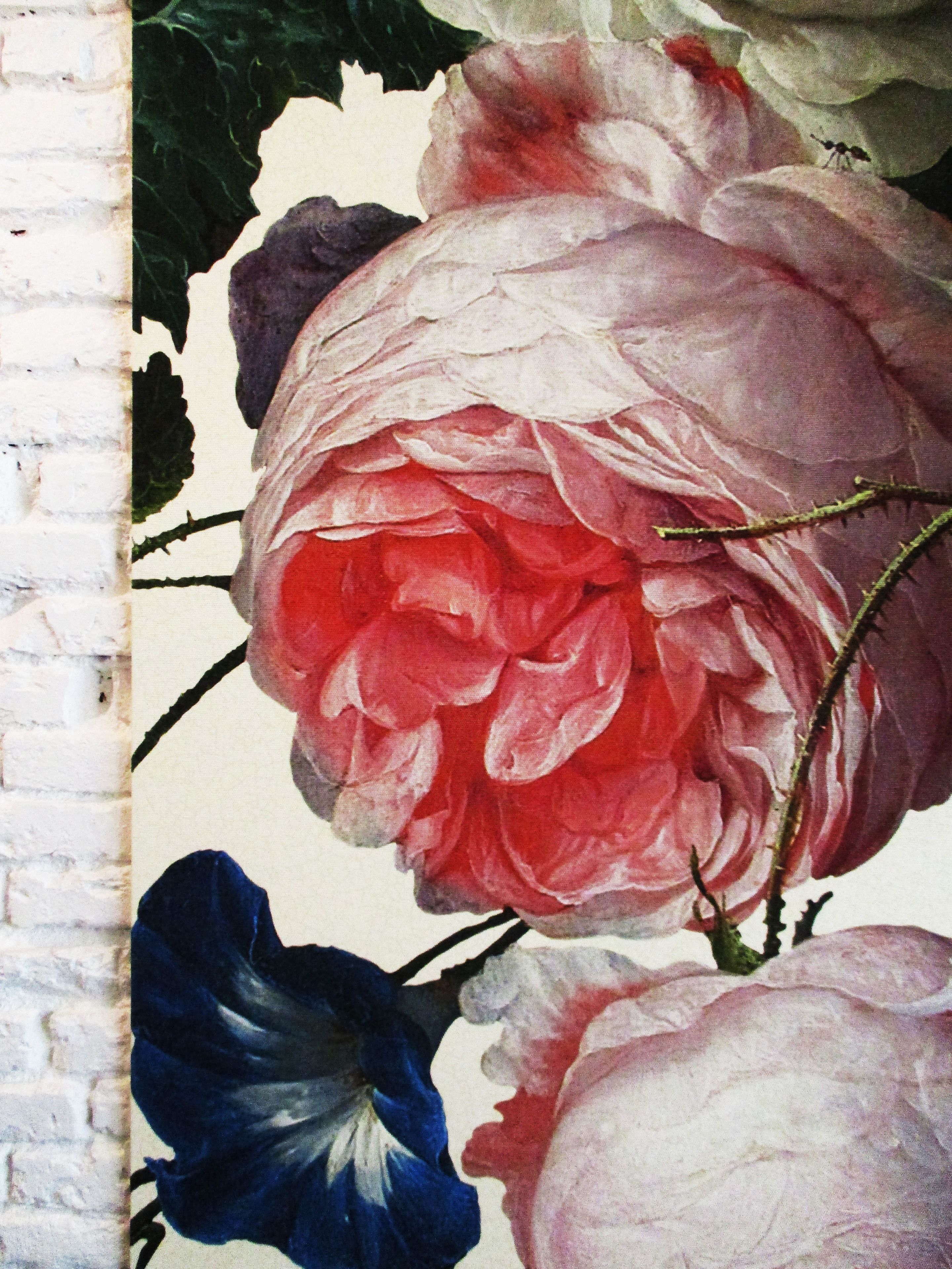 Photo - Serendipity Rooms