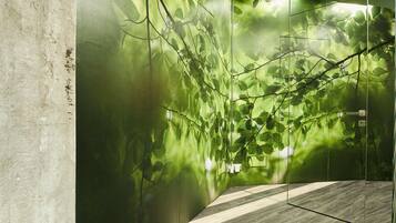 Entrada (vista interna)