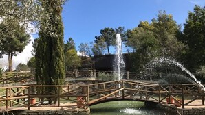 Un puente de madera sobre un estanque con una fuente en el centro.