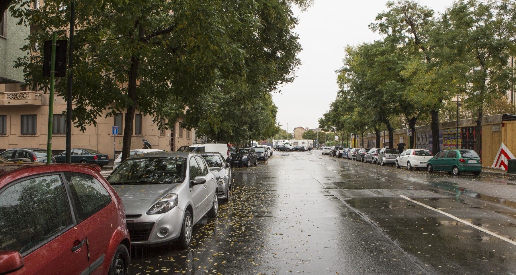 A street lined with parked cars and trees, with wet pavement suggesting recent rain.