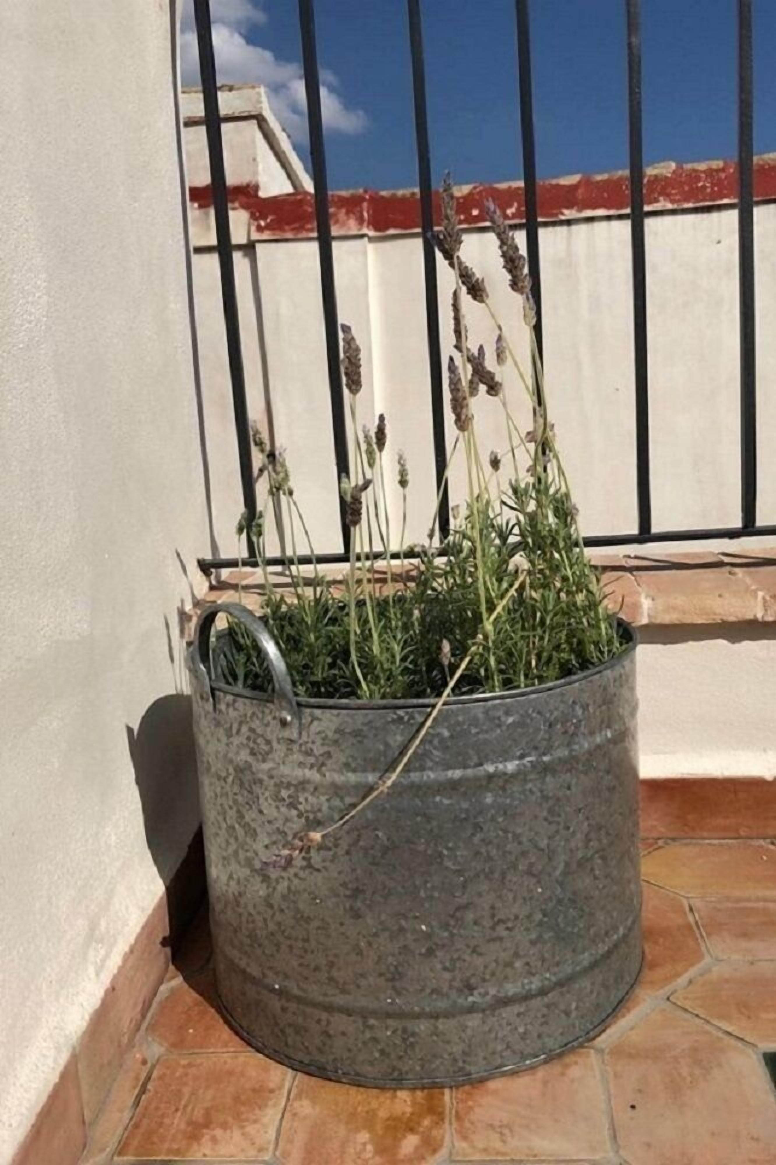 deluxe room, non smoking, terrace | terrace/patio