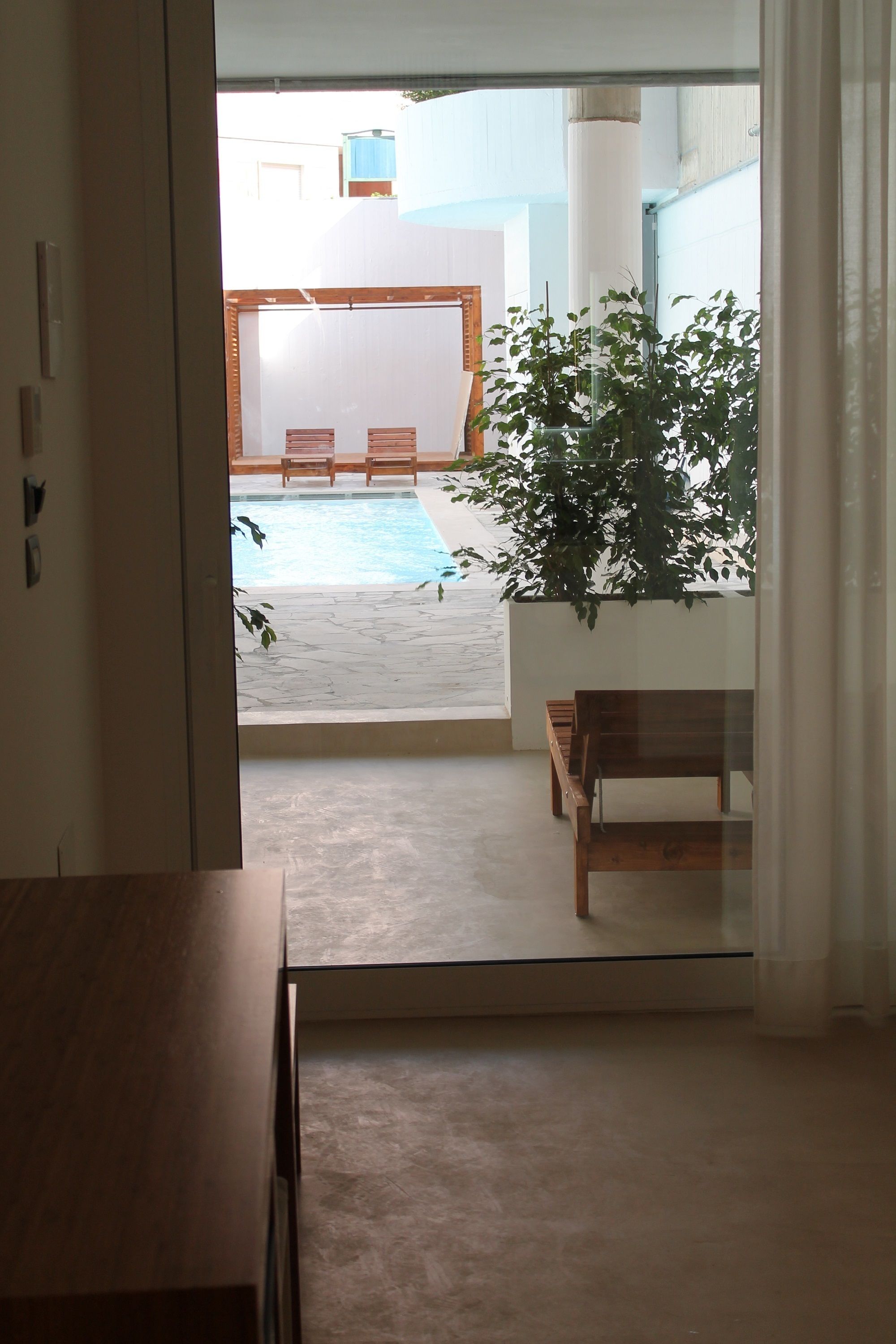 A view from a room to an outdoor area with a pool, wooden benches, and a potted plant.