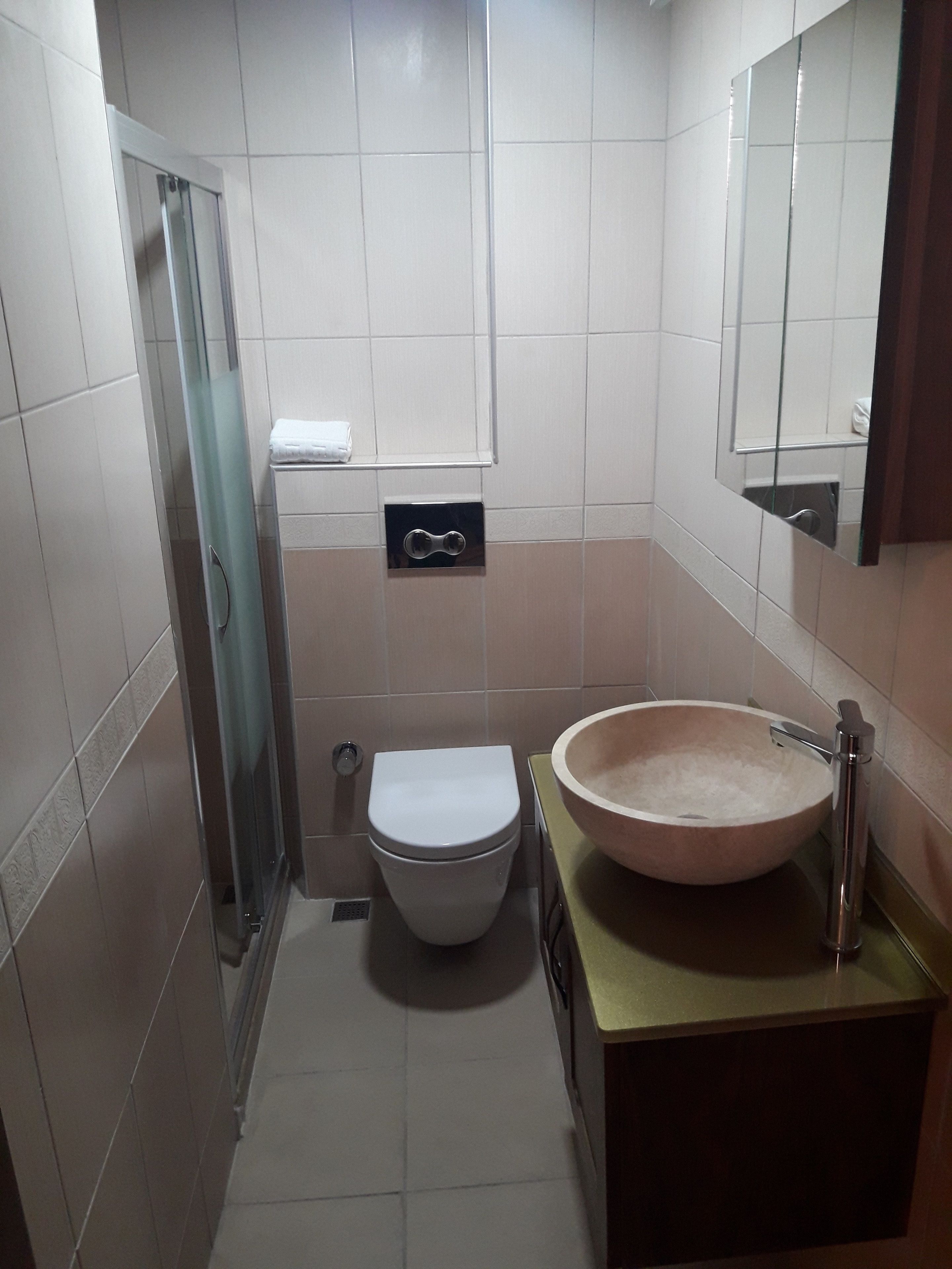 A bathroom with a toilet, a glass shower enclosure, and a large vessel sink.